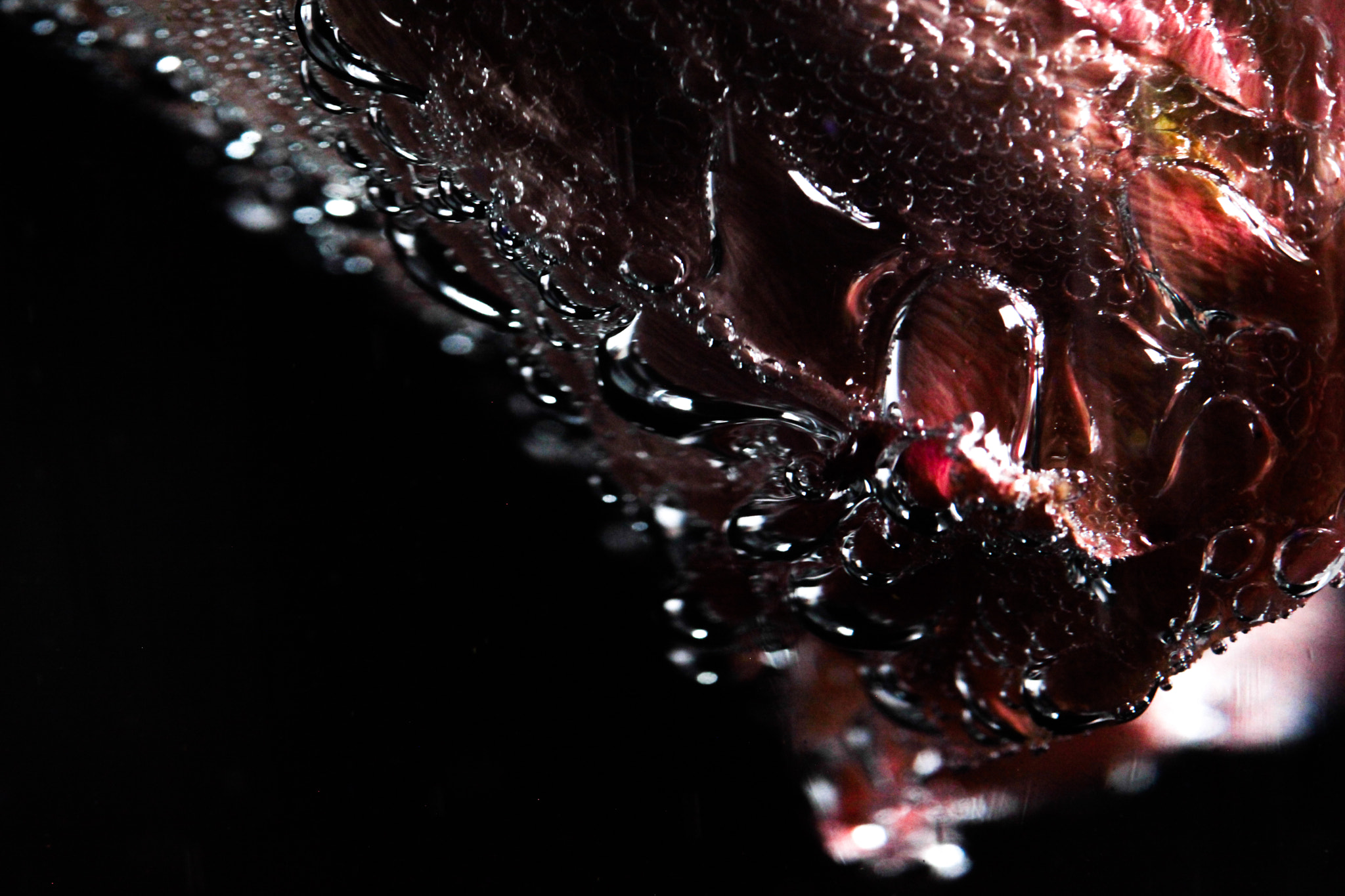 Tamron SP AF 90mm F2.8 Di Macro sample photo. Under a water. photography