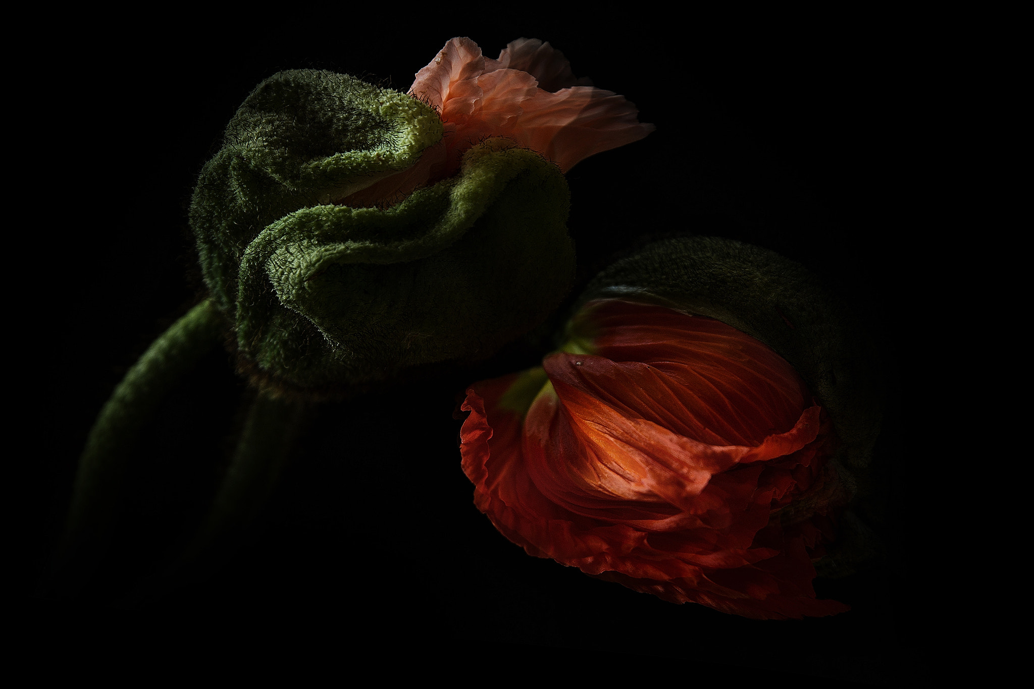 Canon EF 24-70mm F2.8L II USM sample photo. Saisonbeginn 2017 photography