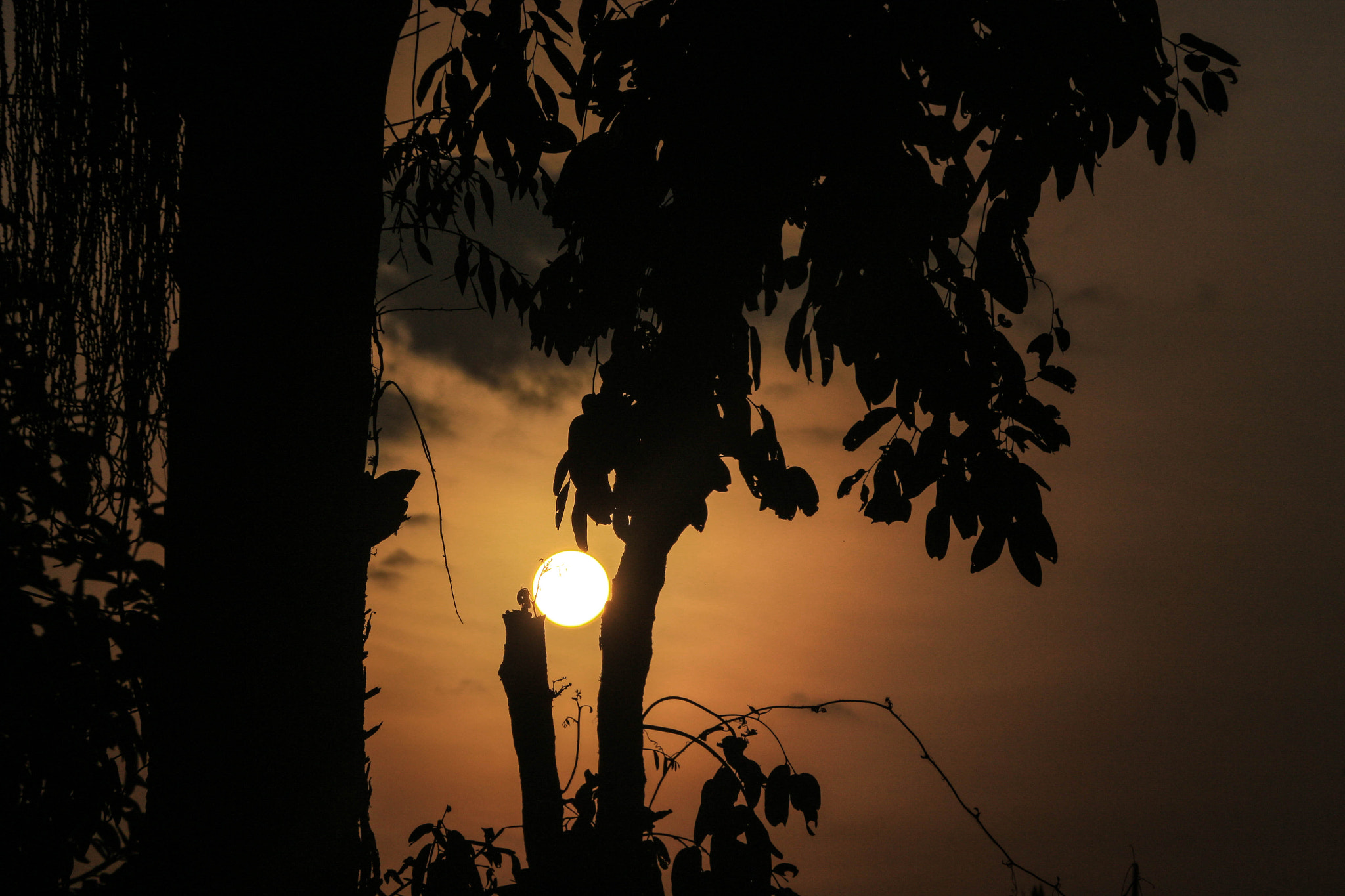 Canon EOS 100D (EOS Rebel SL1 / EOS Kiss X7) sample photo. Sun set photography