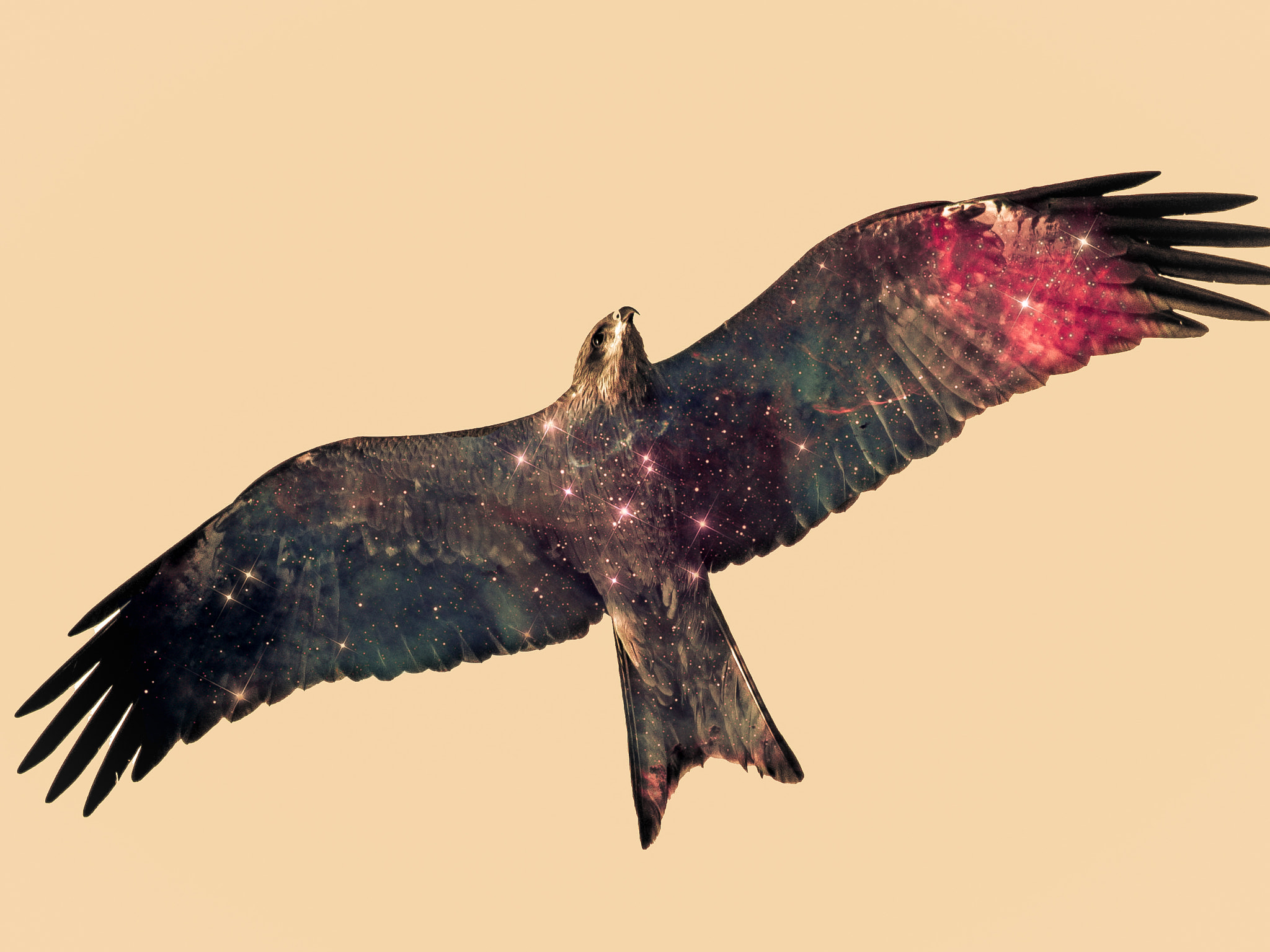 Tamron SP 35mm F1.8 Di VC USD sample photo. Eagle nebula photography