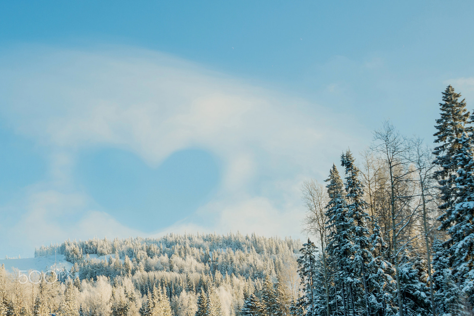 Nikon AF Nikkor 24-85mm F2.8-4D IF sample photo. Heart from cloud in the blue sky above the treetops photography