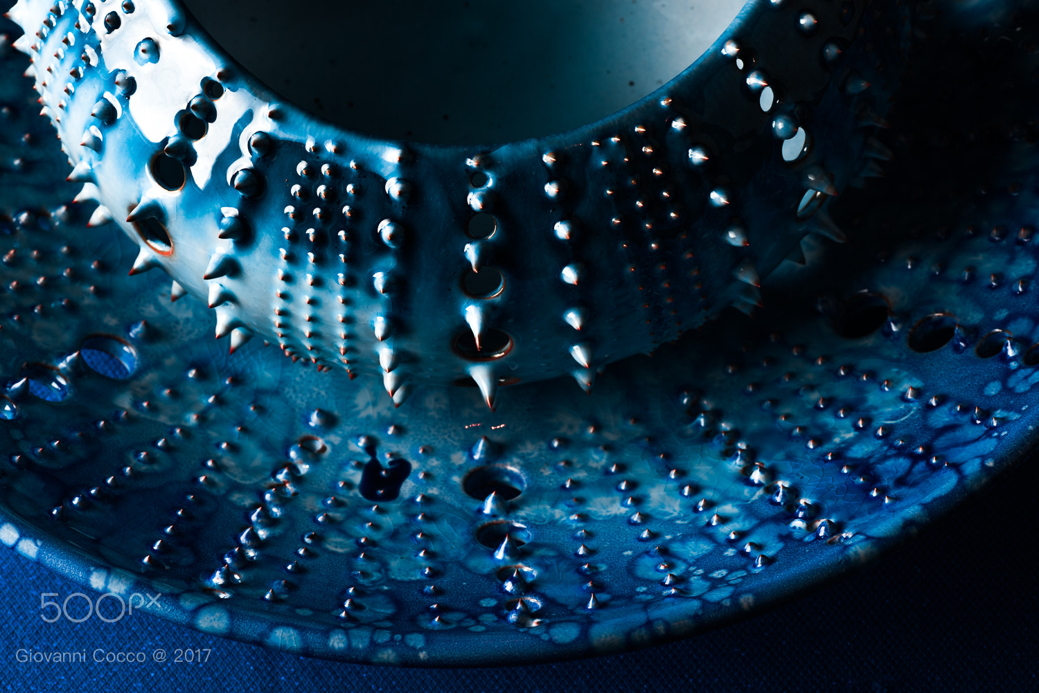 Nikon D810 sample photo. Vase photography