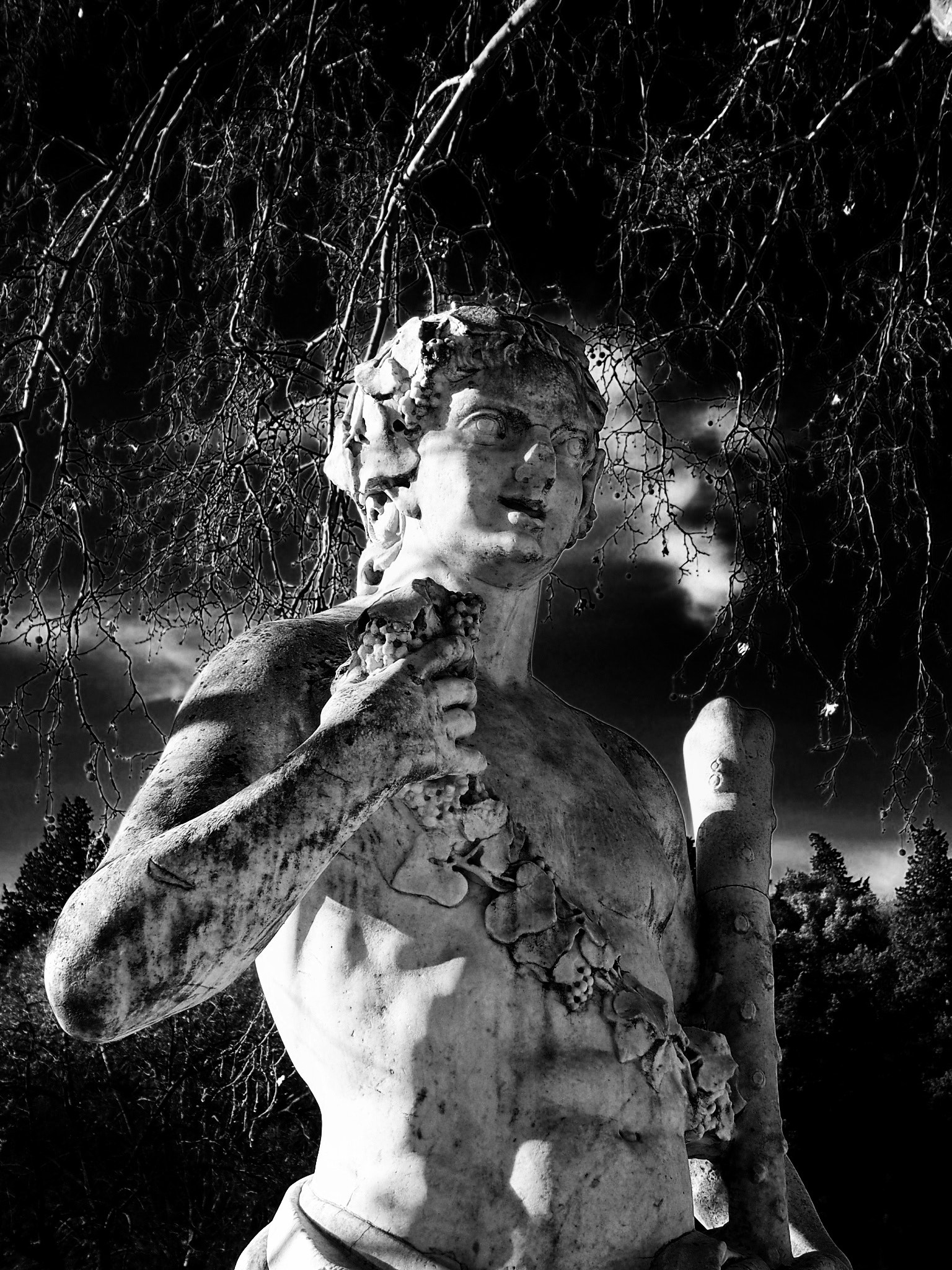 Olympus STYLUS1 sample photo. Canelle  photography