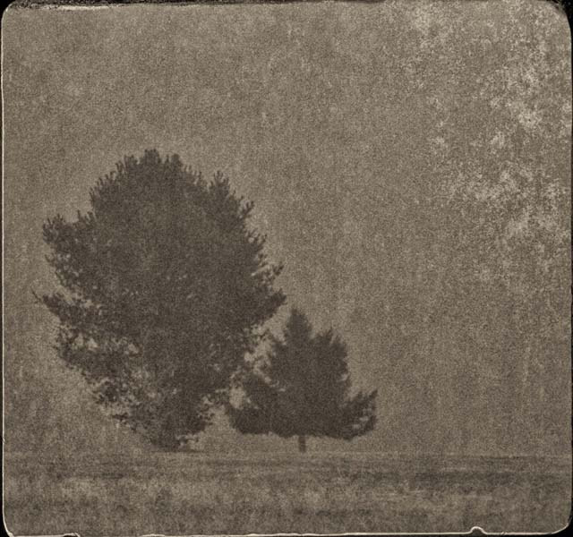 Canon EF 75-300mm f/4-5.6 USM sample photo. ...like a wet plate - 5 photography