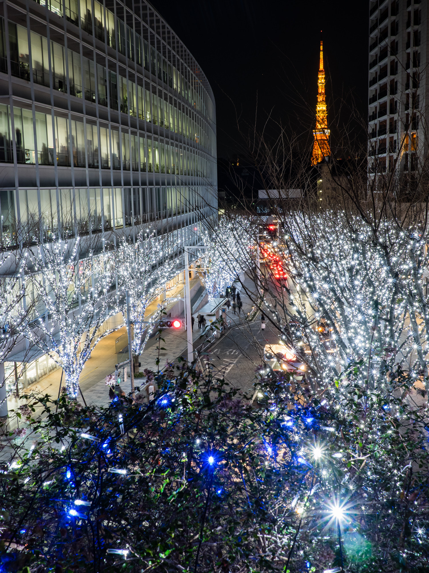 Olympus OM-D E-M1 + LUMIX G 20/F1.7 II sample photo. A forest of stars photography