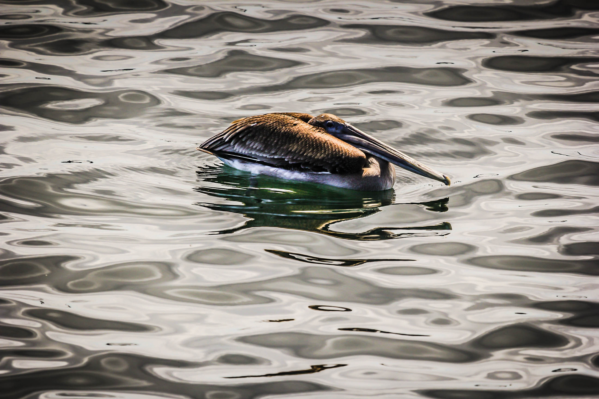 Canon EF 100-400mm F4.5-5.6L IS USM sample photo. Img photography