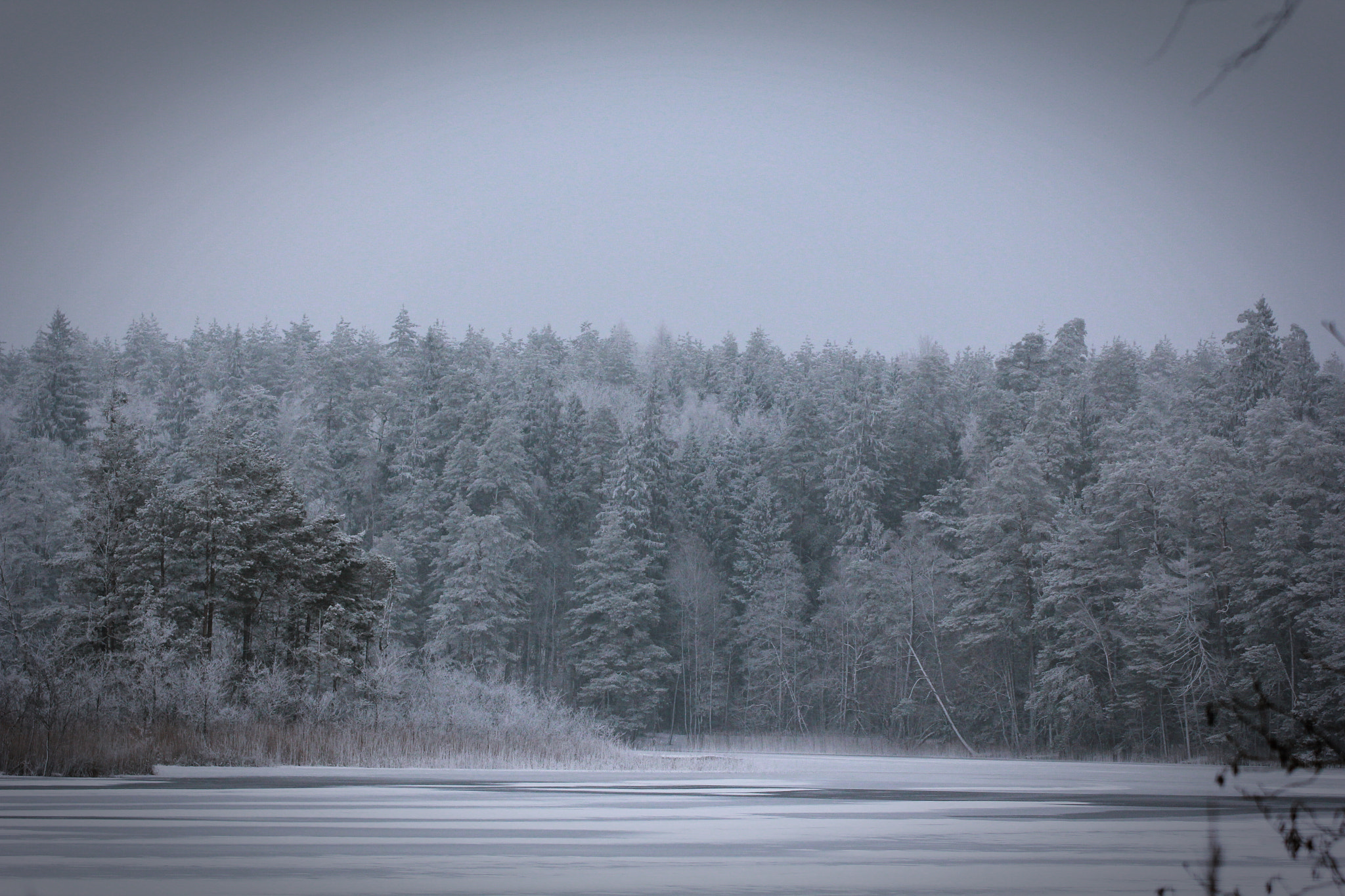 Canon EOS 60D + Tamron SP 70-300mm F4-5.6 Di VC USD sample photo. Winter forest photography