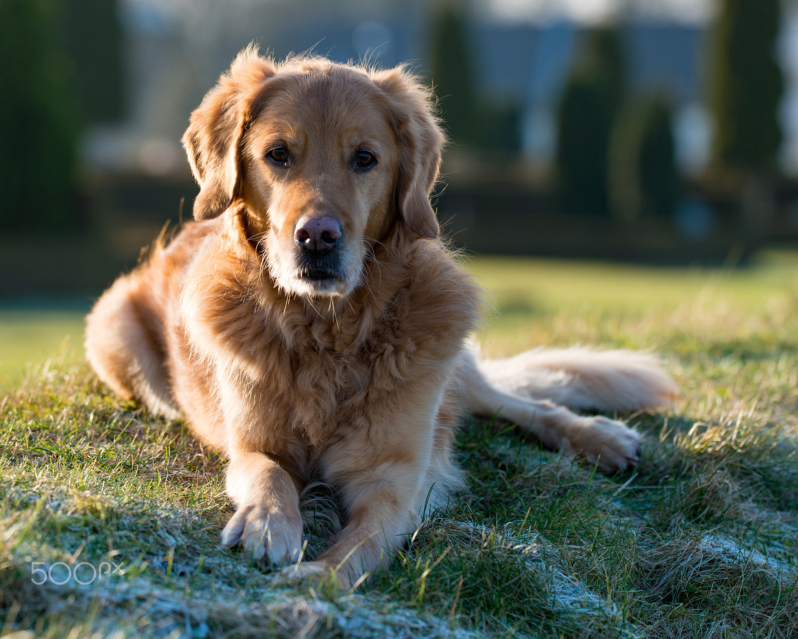 Sigma 150mm F2.8 EX DG OS Macro HSM sample photo. Dumle photography