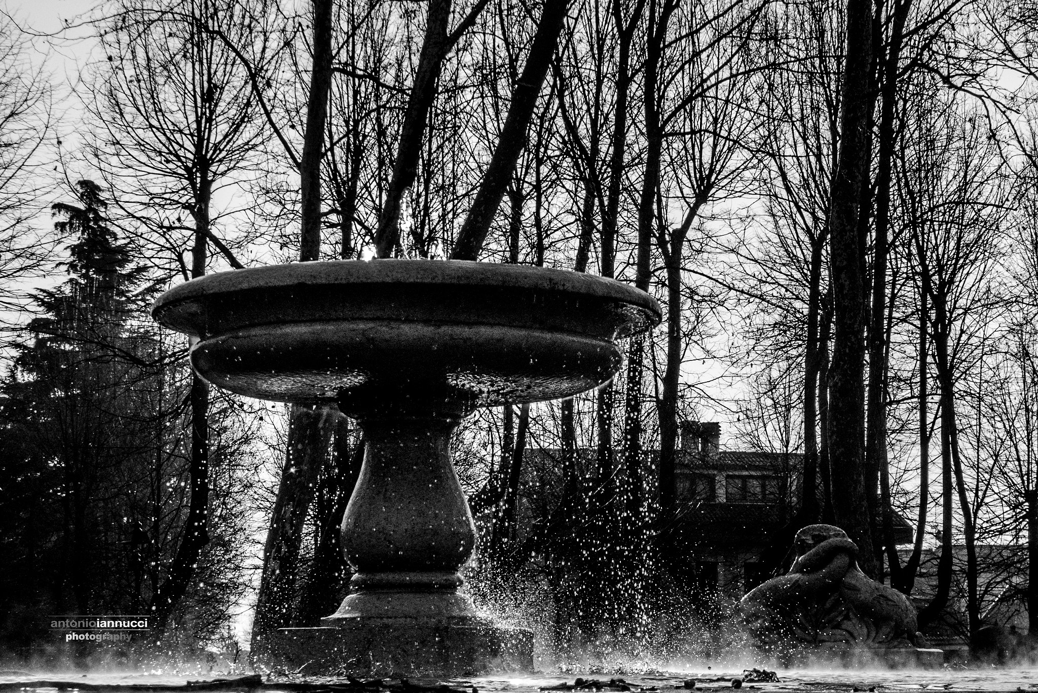 Leica D-LUX 4 sample photo. Stillicidio photography