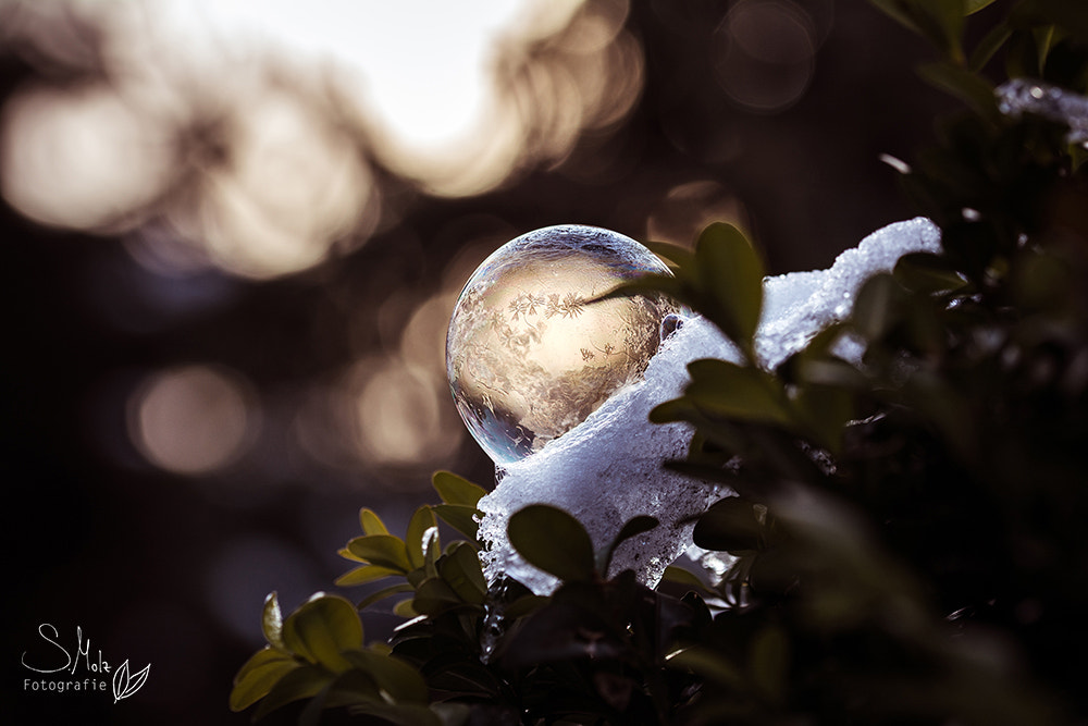Sigma 105mm F2.8 EX DG OS HSM sample photo. Bubble photography