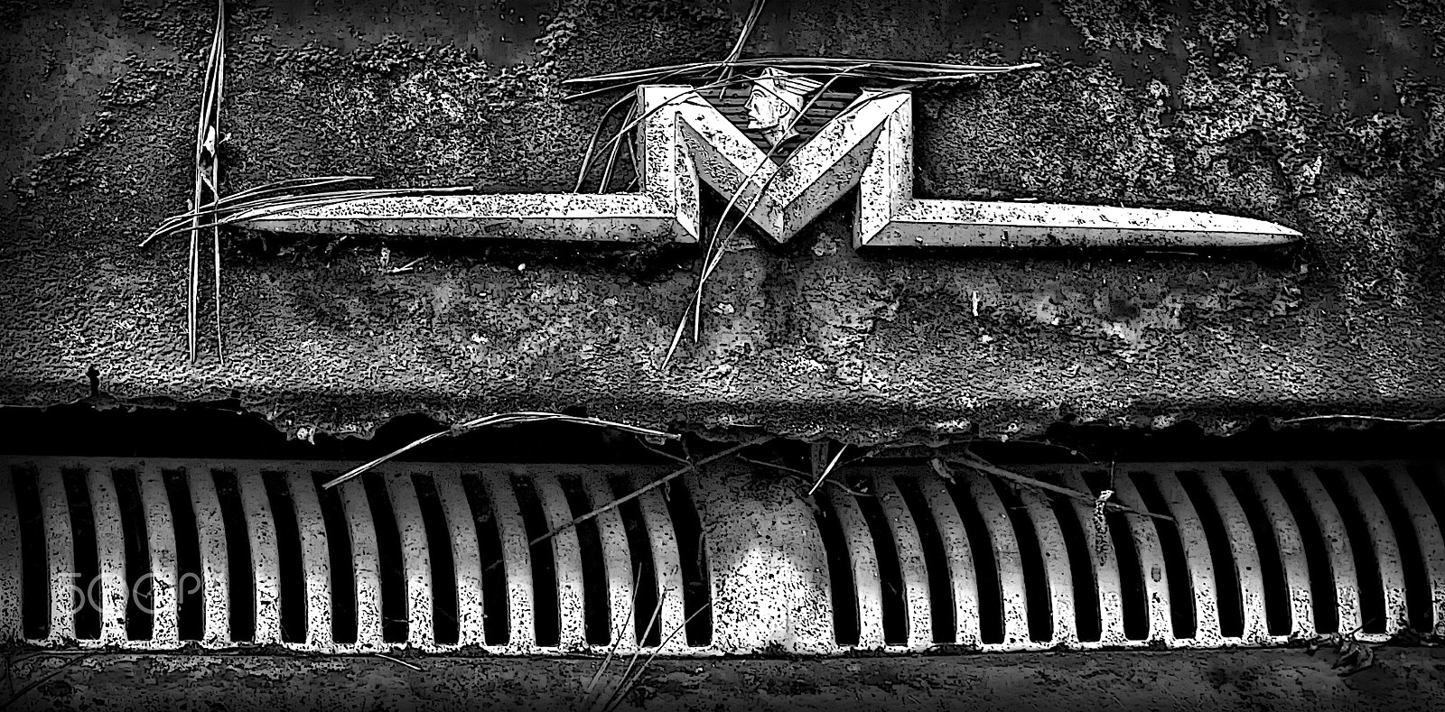 Sony a7R + Sony FE 70-200mm F4 G OSS sample photo. Junkyard 92: mercury hood emblem photography