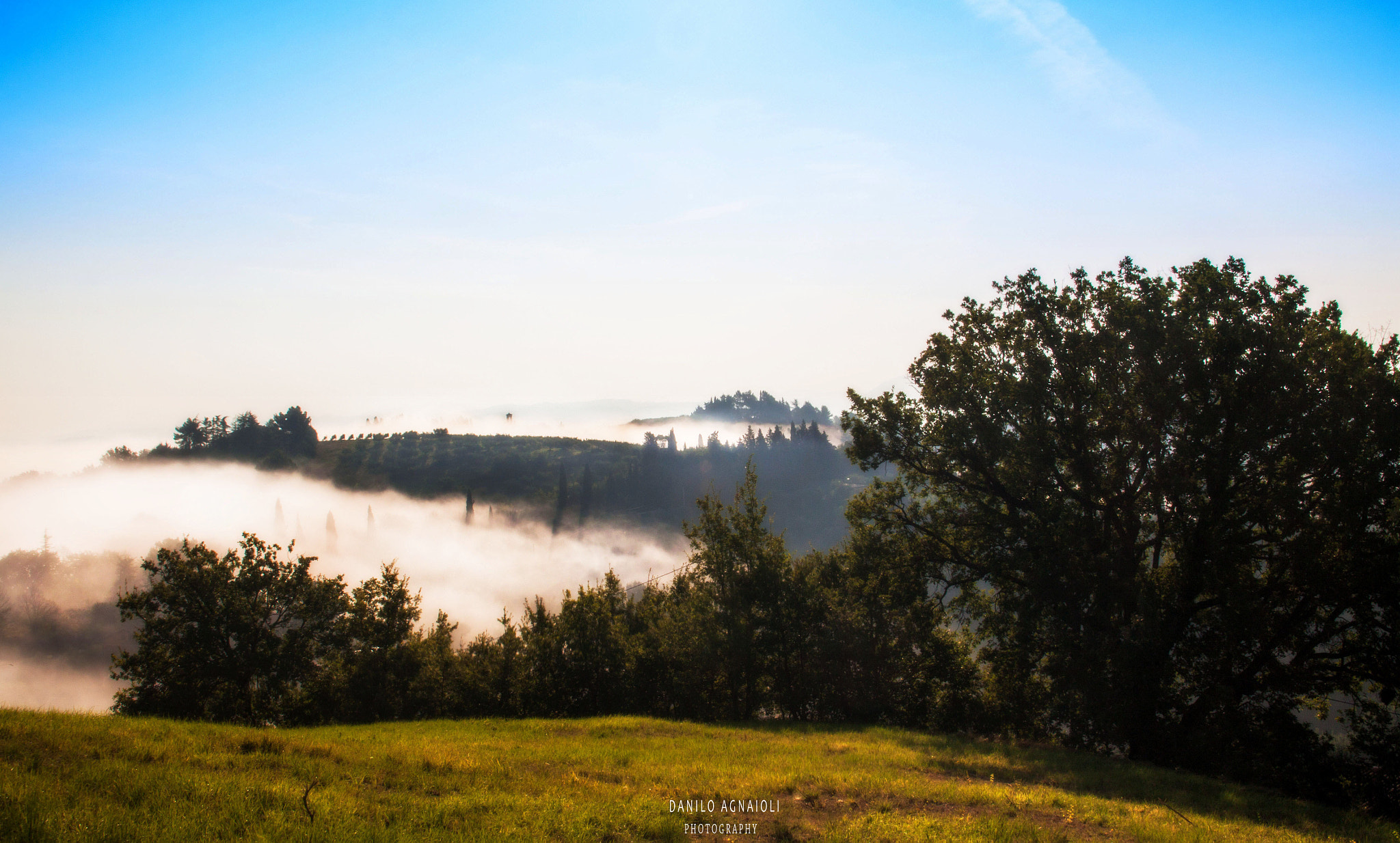 Canon EOS 50D sample photo. My fogs #collinedelperugino photography