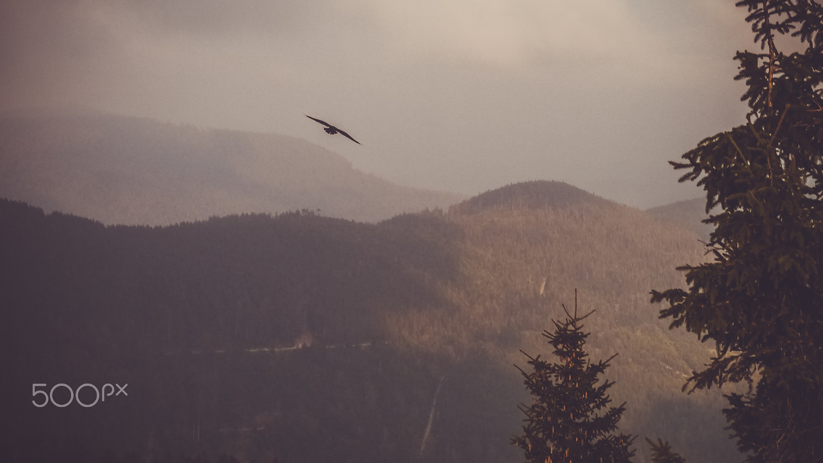Panasonic Lumix DMC-GX1 sample photo. Schwarzwald photography