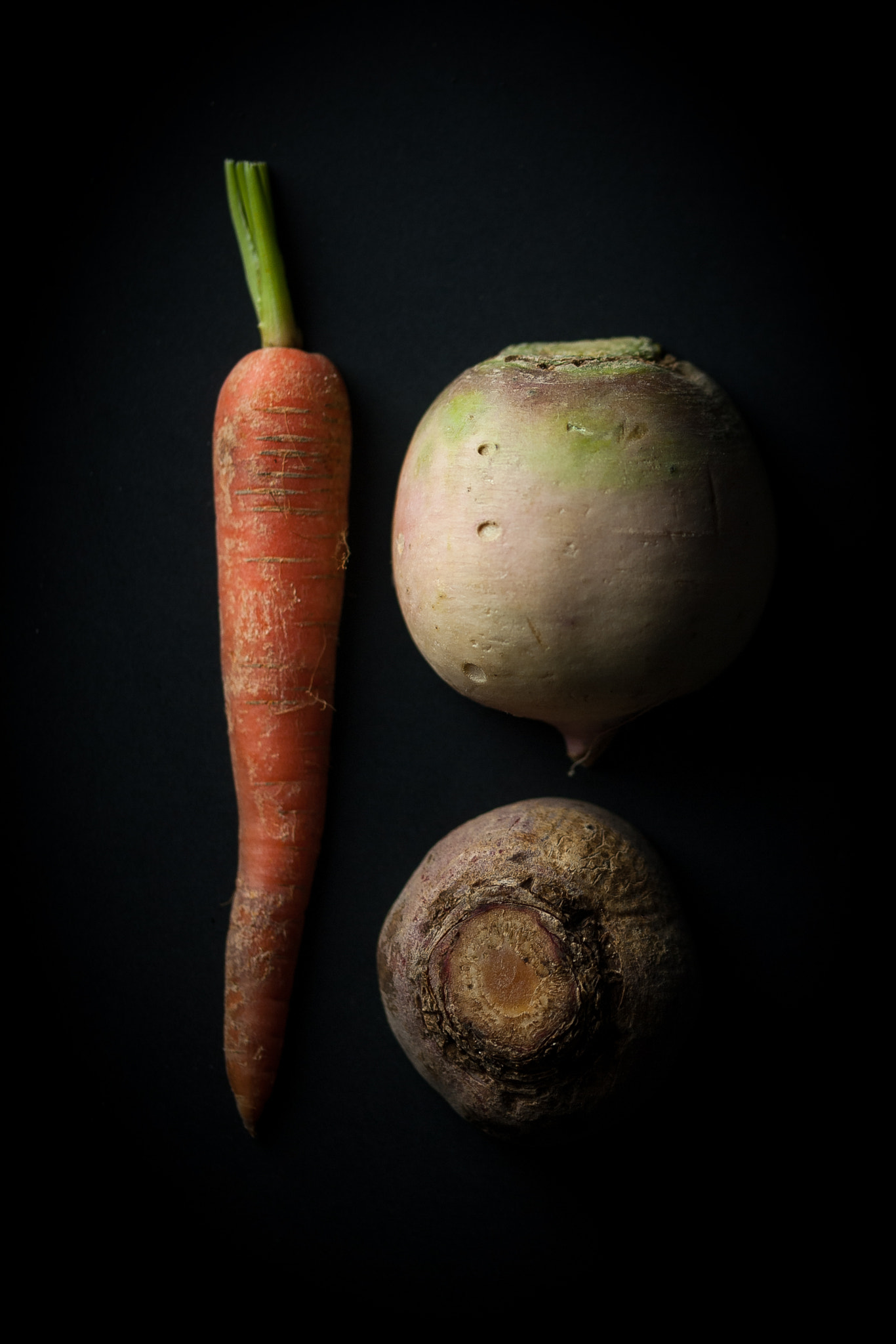 Sigma 105mm F2.8 EX DG OS HSM sample photo. Les racines photography