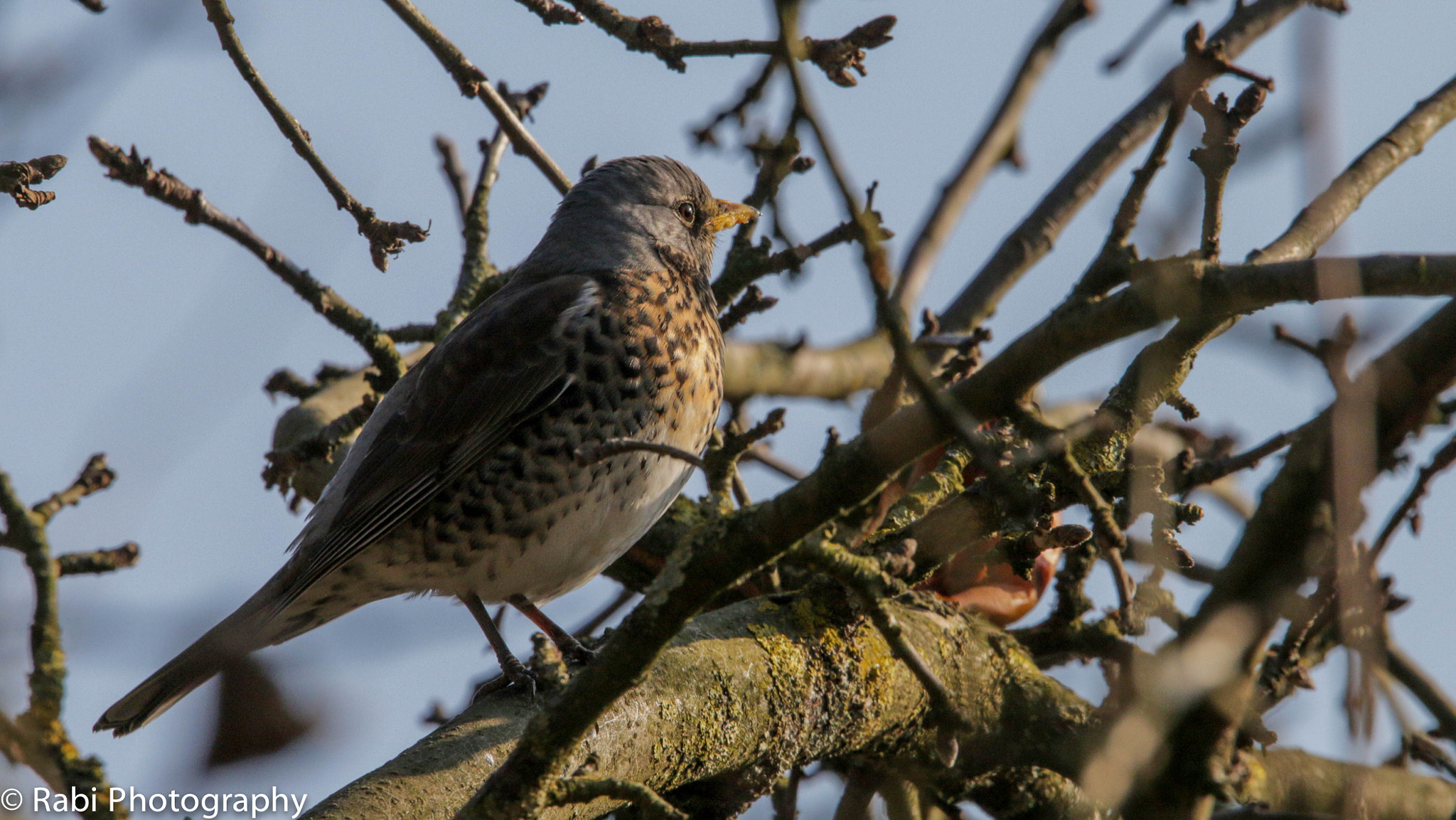 150-600mm F5-6.3 DG OS HSM | Sports 014 sample photo. Img photography