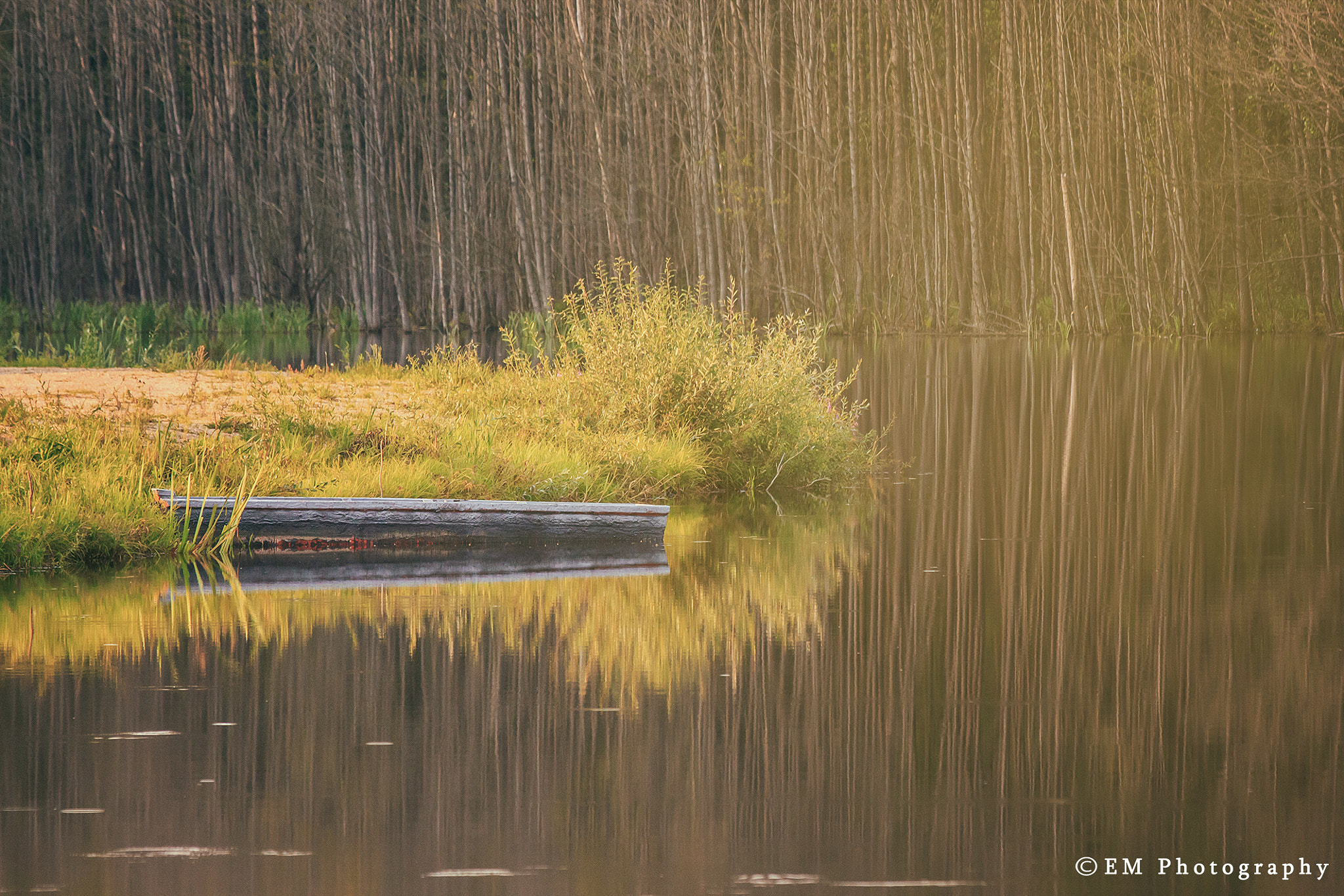 Canon EF 70-300mm F4-5.6 IS USM sample photo. **** photography