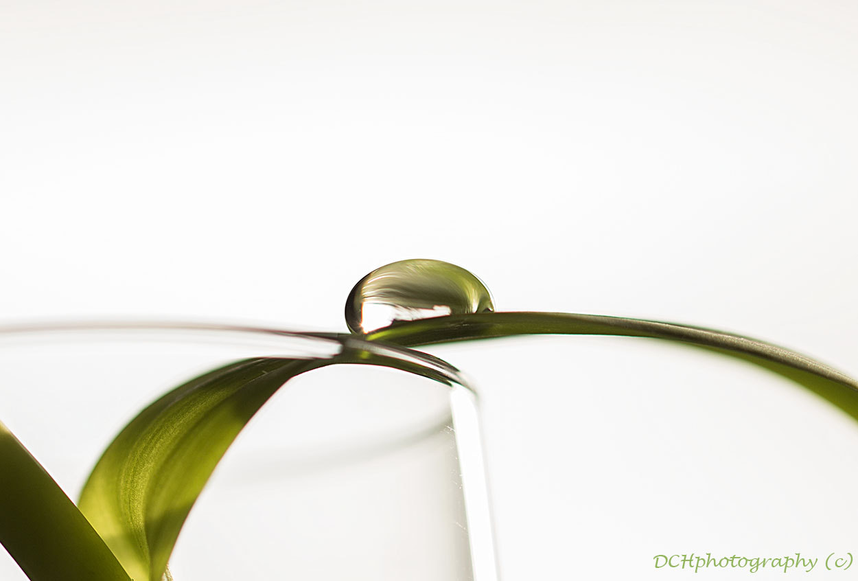 Canon EOS 650D (EOS Rebel T4i / EOS Kiss X6i) sample photo. Just a drop photography