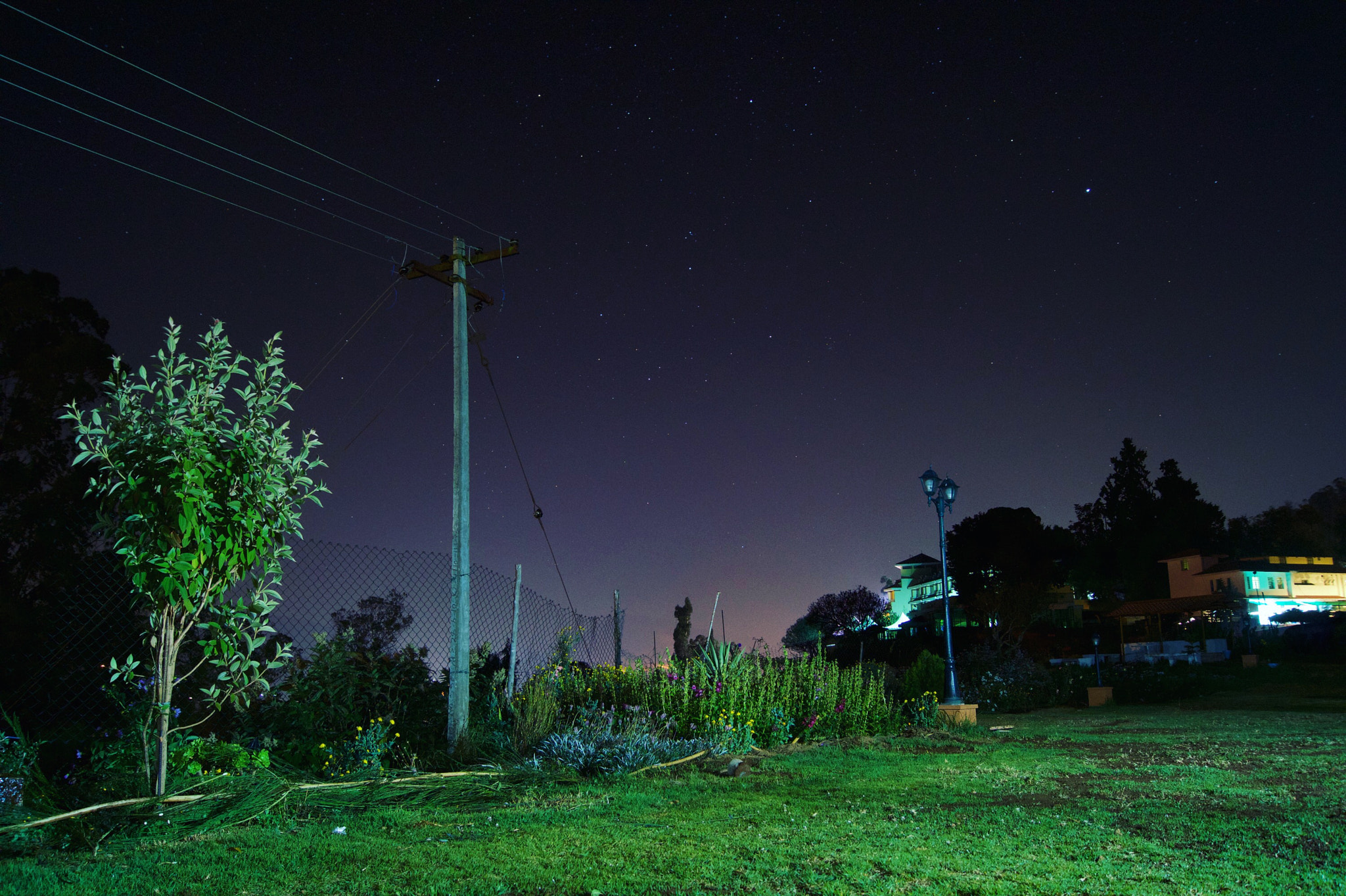 Sony DT 18-55mm F3.5-5.6 SAM II sample photo. Fond of stars! photography
