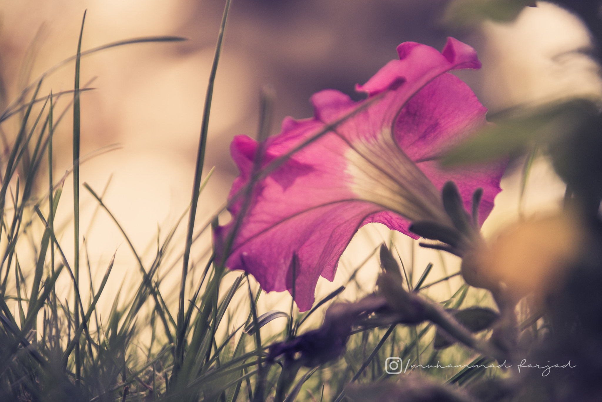 Sigma 18-250mm F3.5-6.3 DC OS HSM sample photo. A different perspective photography