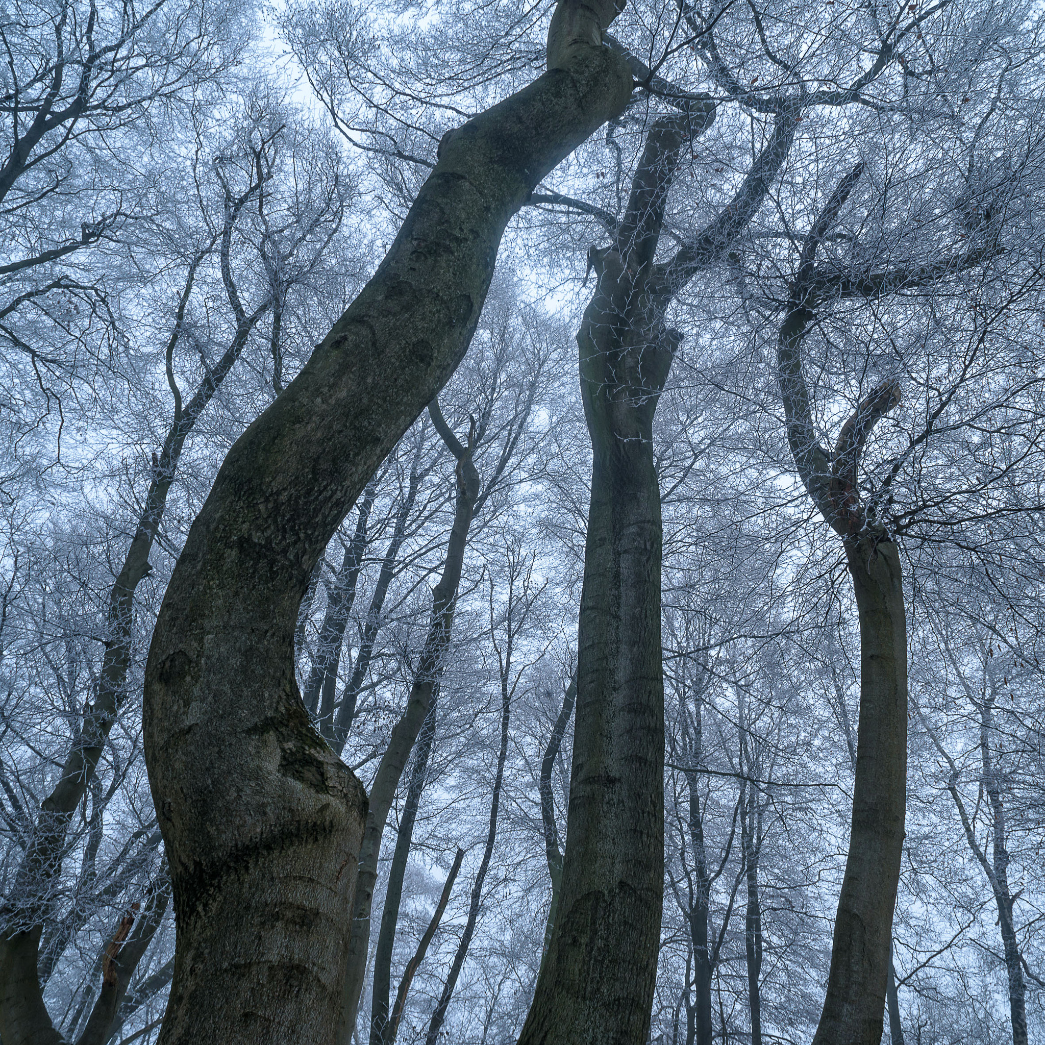 AF Nikkor 20mm f/2.8 sample photo. Three cool graces photography