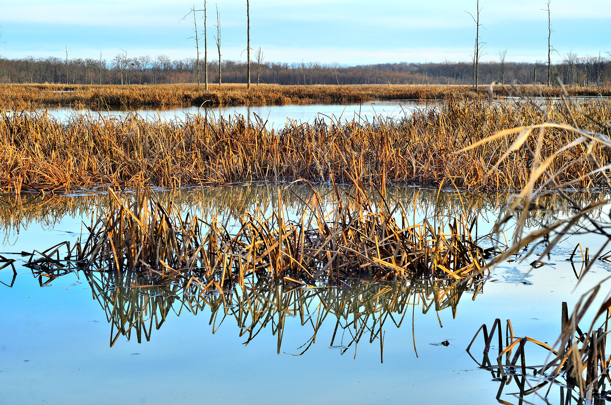 Nikon D7000 + AF Nikkor 50mm f/1.8 sample photo. Marsh at sunset photography