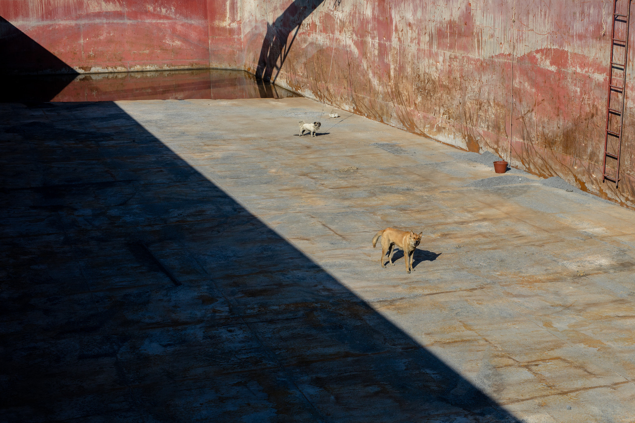 Sigma 50mm F1.4 EX DG HSM sample photo
