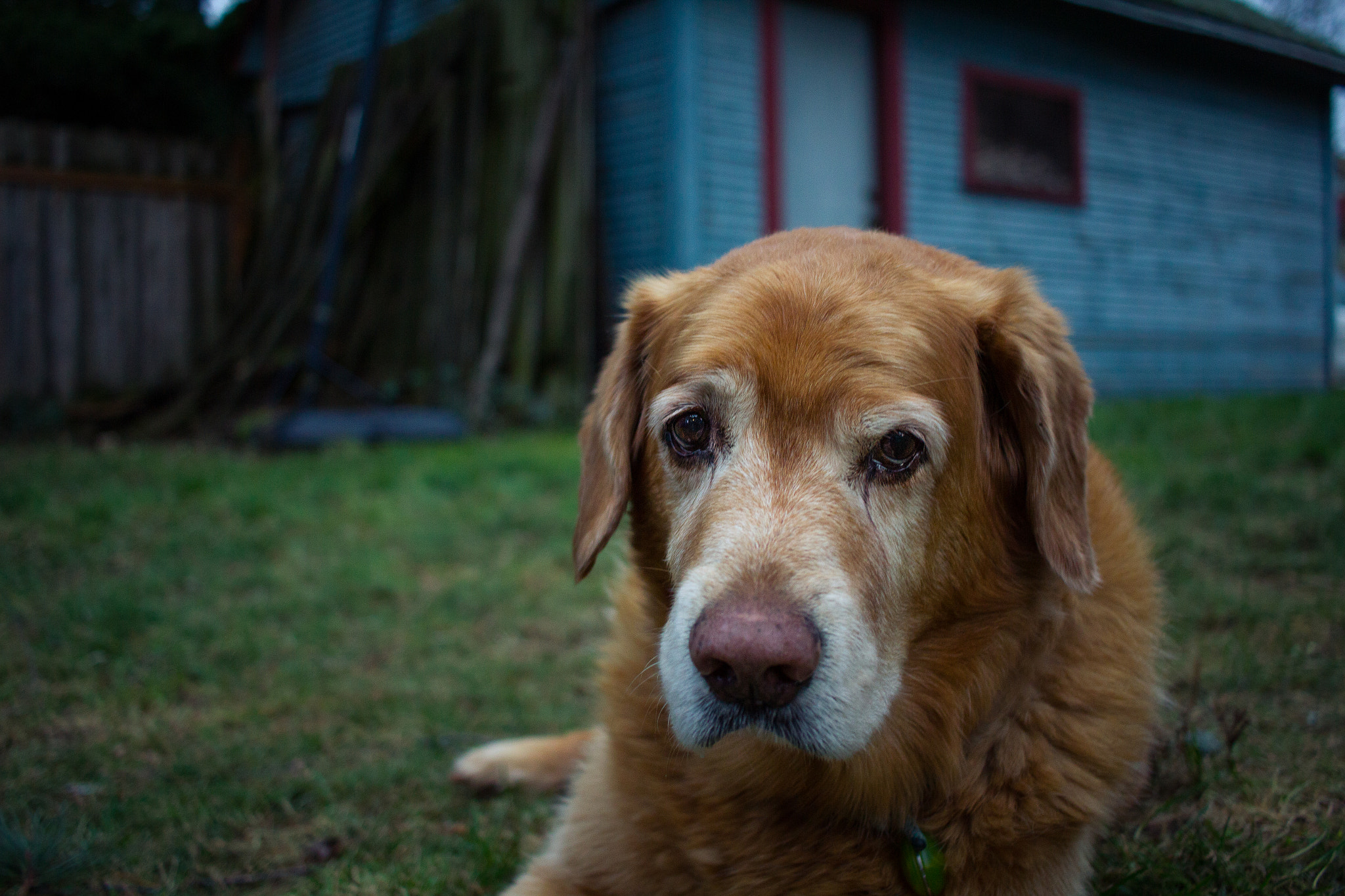 Canon EF-S 24mm F2.8 STM sample photo. Pete photography