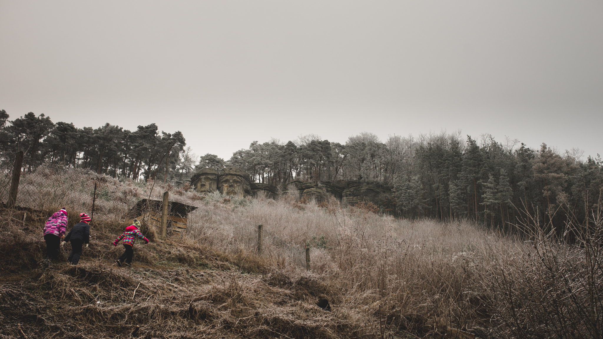 Sony a99 II + Sigma 35mm F1.4 DG HSM Art sample photo. The tale of this winter i photography