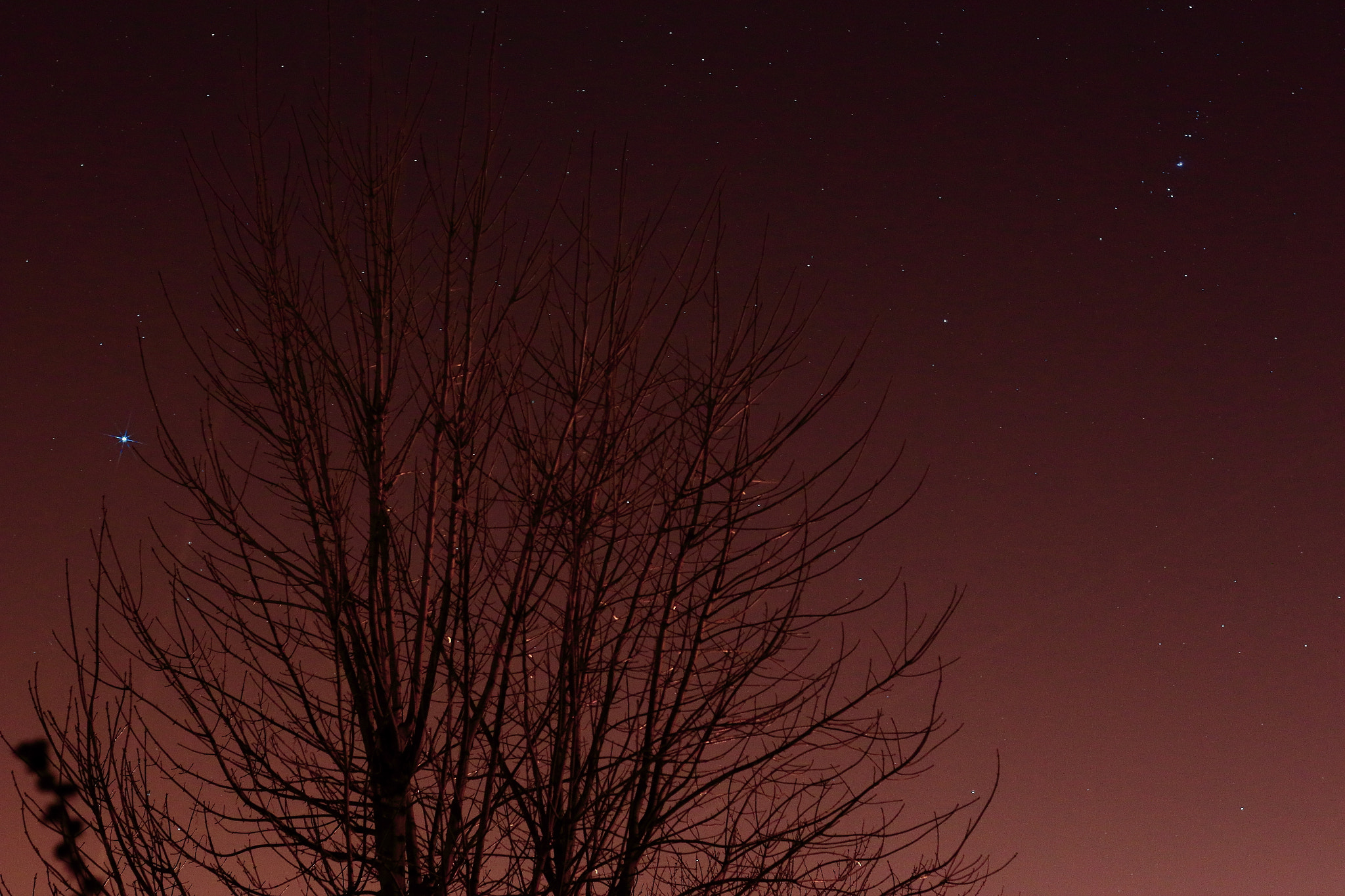 Canon 50mm sample photo. Star photography