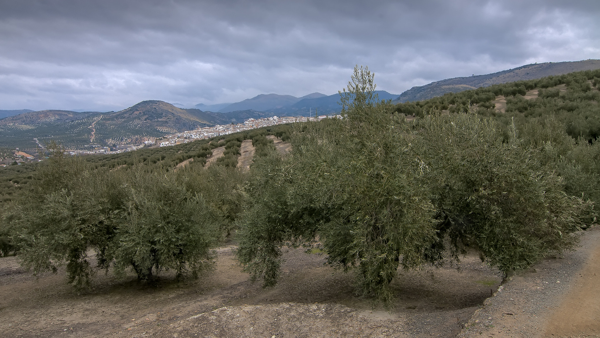 Tokina AT-X Pro 12-24mm F4 (IF) DX sample photo. Un trozo de andalucía photography