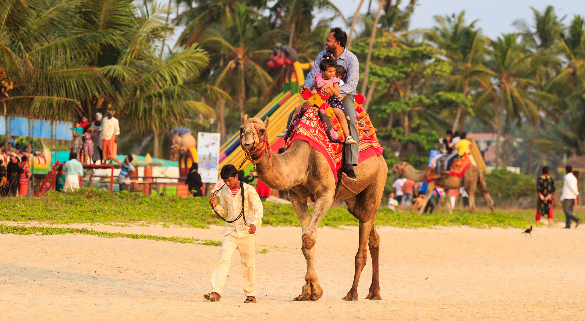 Canon EF 70-200mm F4L USM sample photo. Img photography