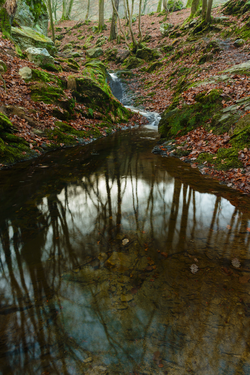Nikon AF-S Nikkor 24-70mm F2.8E ED VR sample photo. Ninglinspo. photography