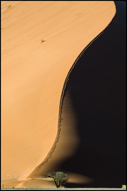 Nikon AF-Nikkor 80-200mm F2.8D ED sample photo. Namibia photography