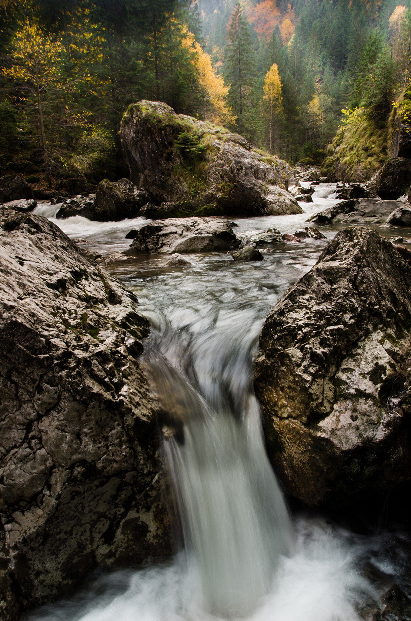 Pentax K-5 sample photo. -the brook- photography