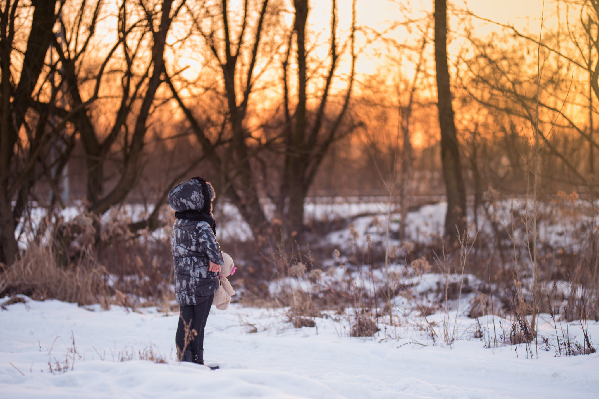 Nikon D610 + Sigma 105mm F2.8 EX DG Macro sample photo. Sunset in silesia photography