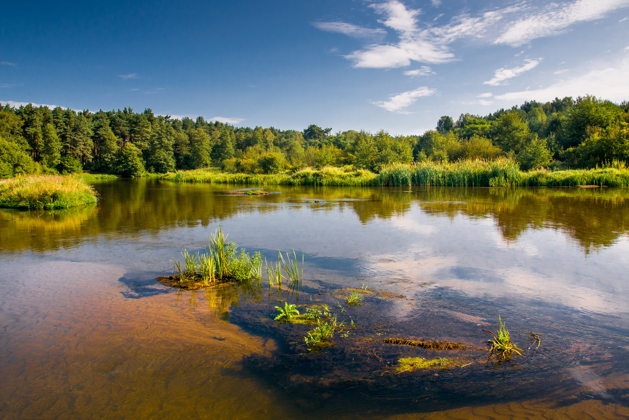 Sony Alpha DSLR-A700 sample photo. Somewhere in mazury, poland photography