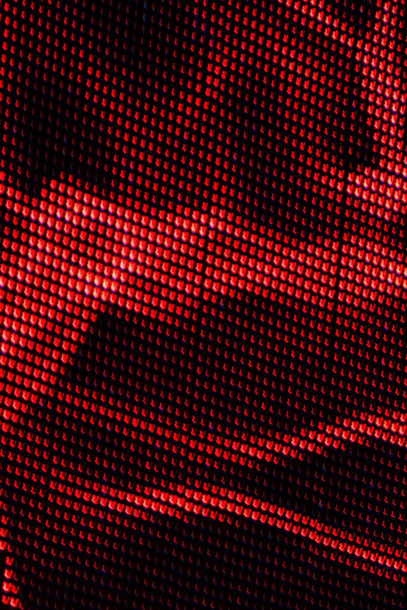 Sony Alpha DSLR-A700 + Minolta AF 100-200mm F4.5 sample photo. Red, red, red photography