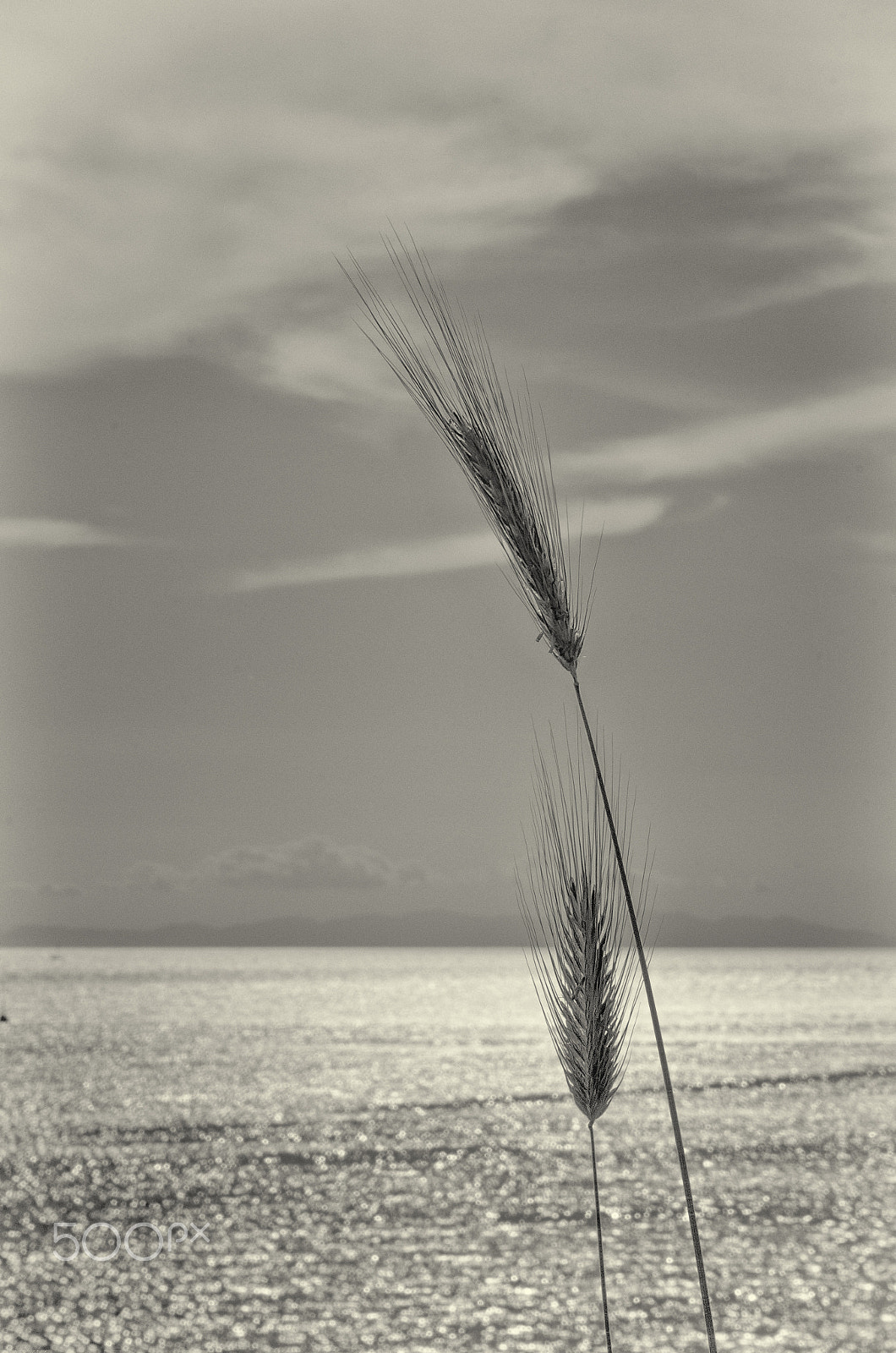 Nikon D7000 + Sigma 18-250mm F3.5-6.3 DC Macro OS HSM sample photo. ... nel mare.... nel cielo photography