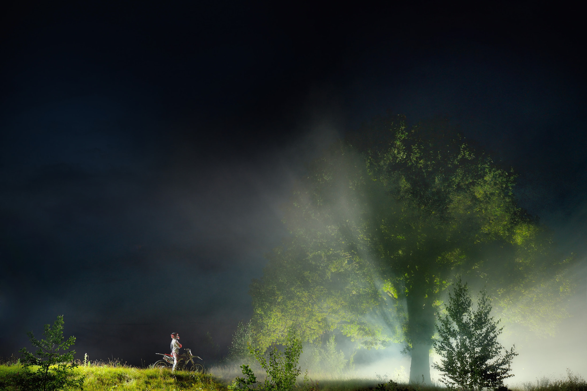 Nikon D800 sample photo. Photo photography