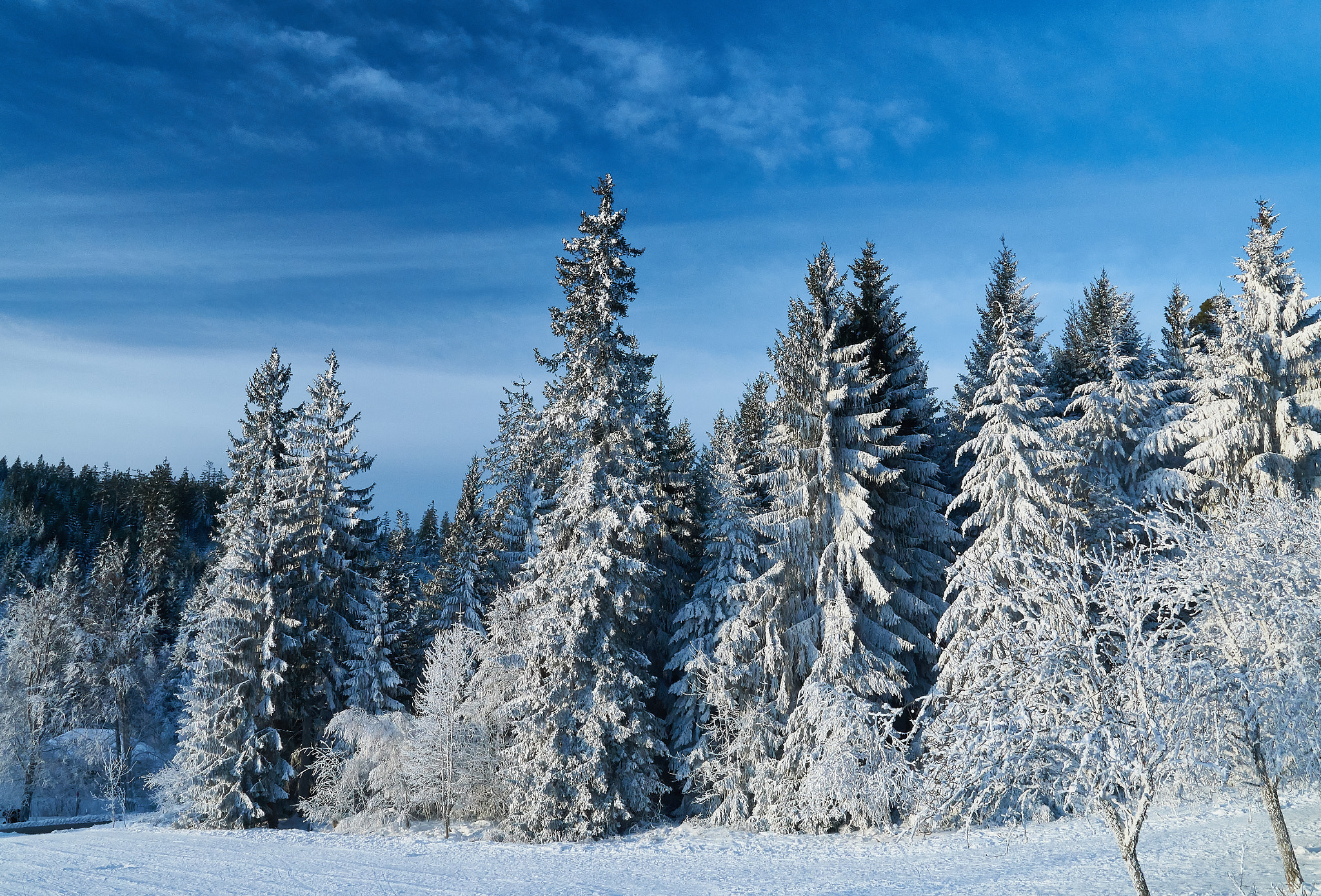 Sony SLT-A37 sample photo. Wintertage im januar photography