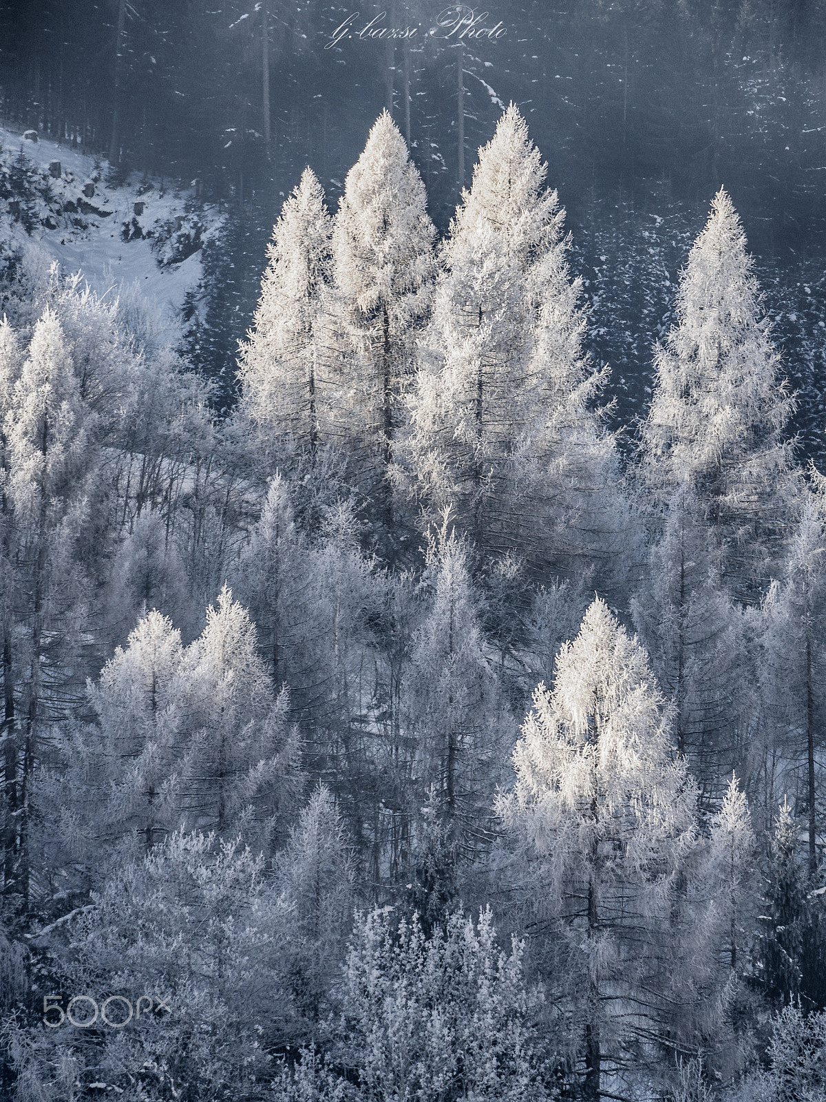 Olympus OM-D E-M10 sample photo. Frosty weather photography