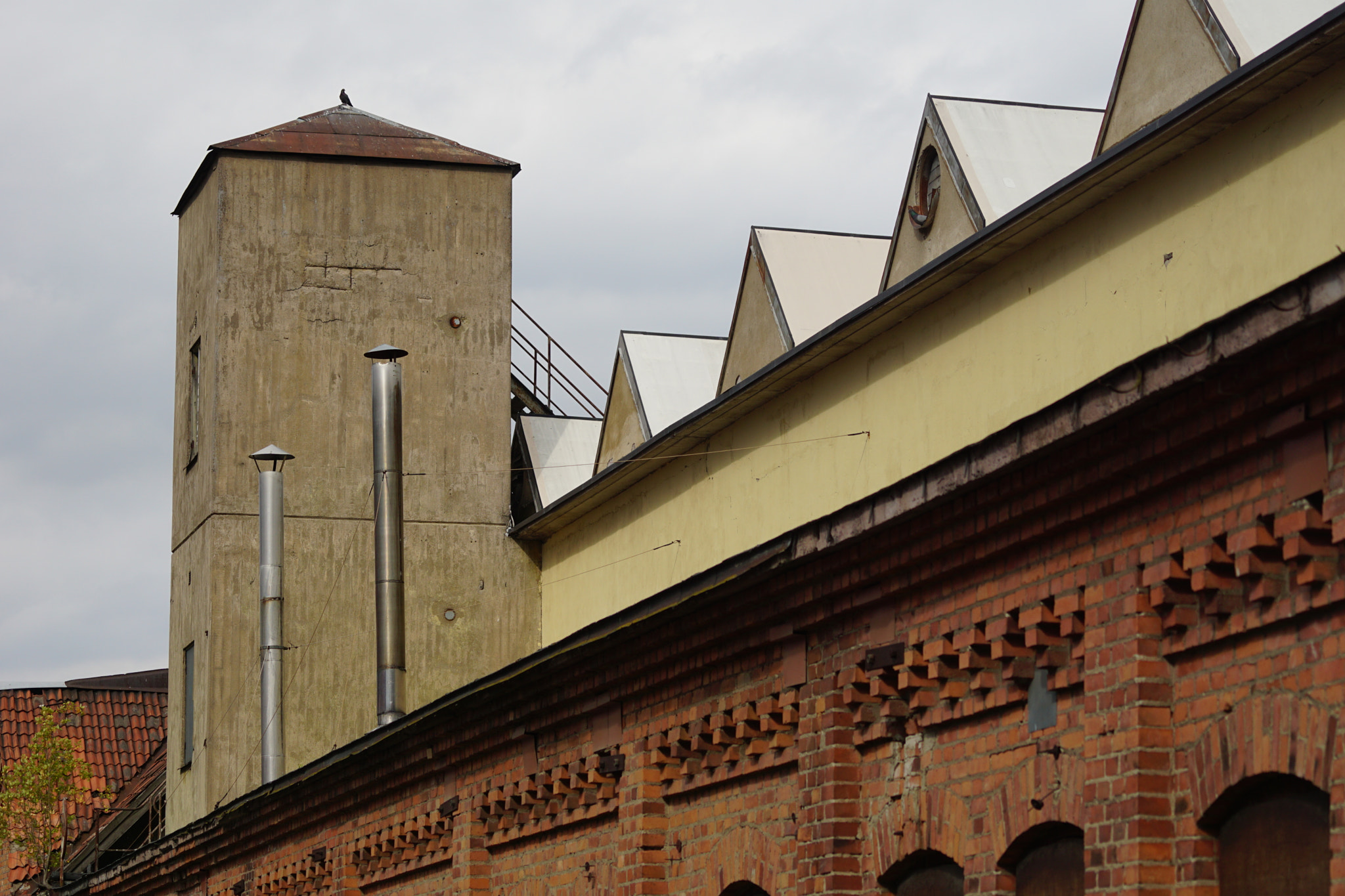 Sony ILCA-77M2 sample photo. Pigeons on the roof photography