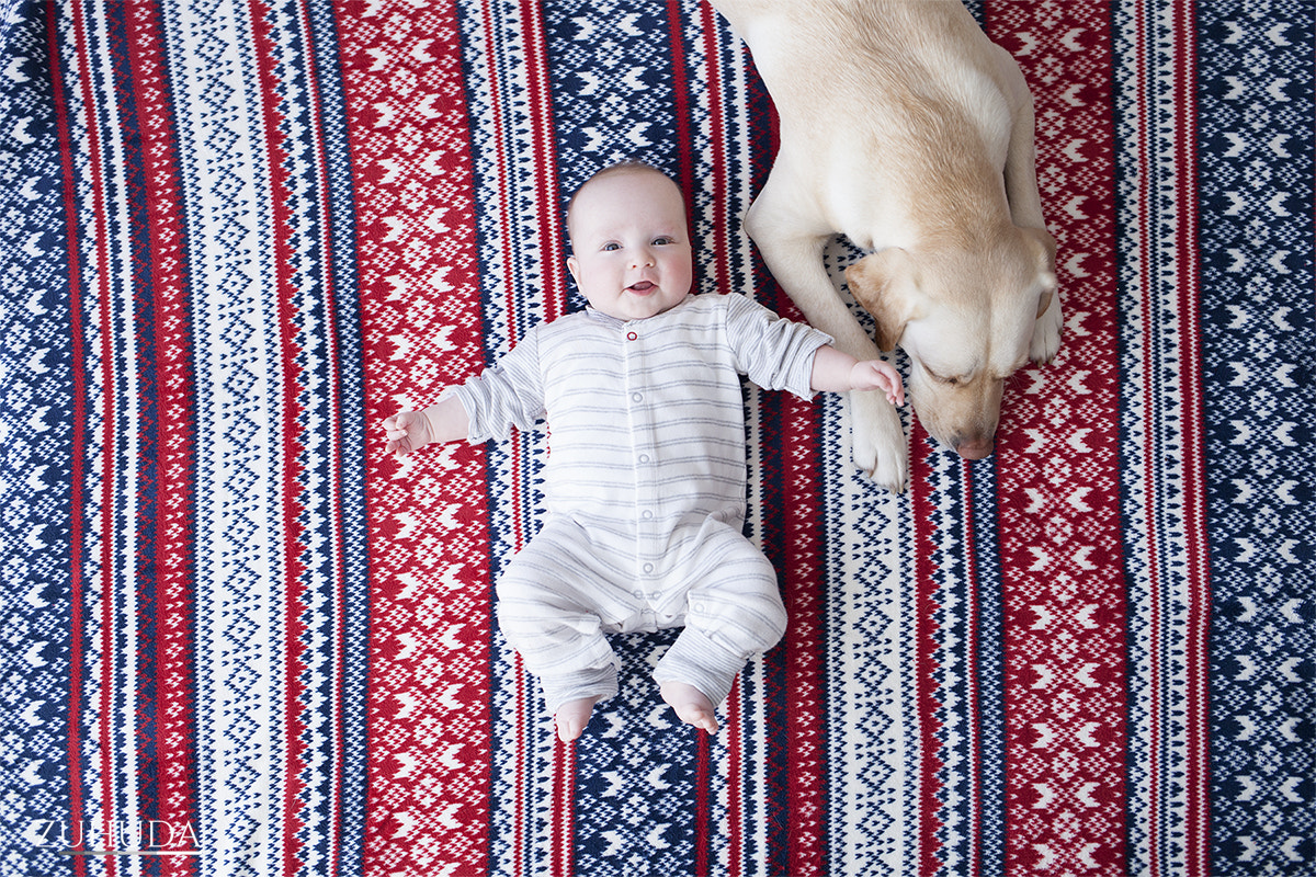 Canon EF 35mm F2 IS USM sample photo. Stripes, child and a dog photography
