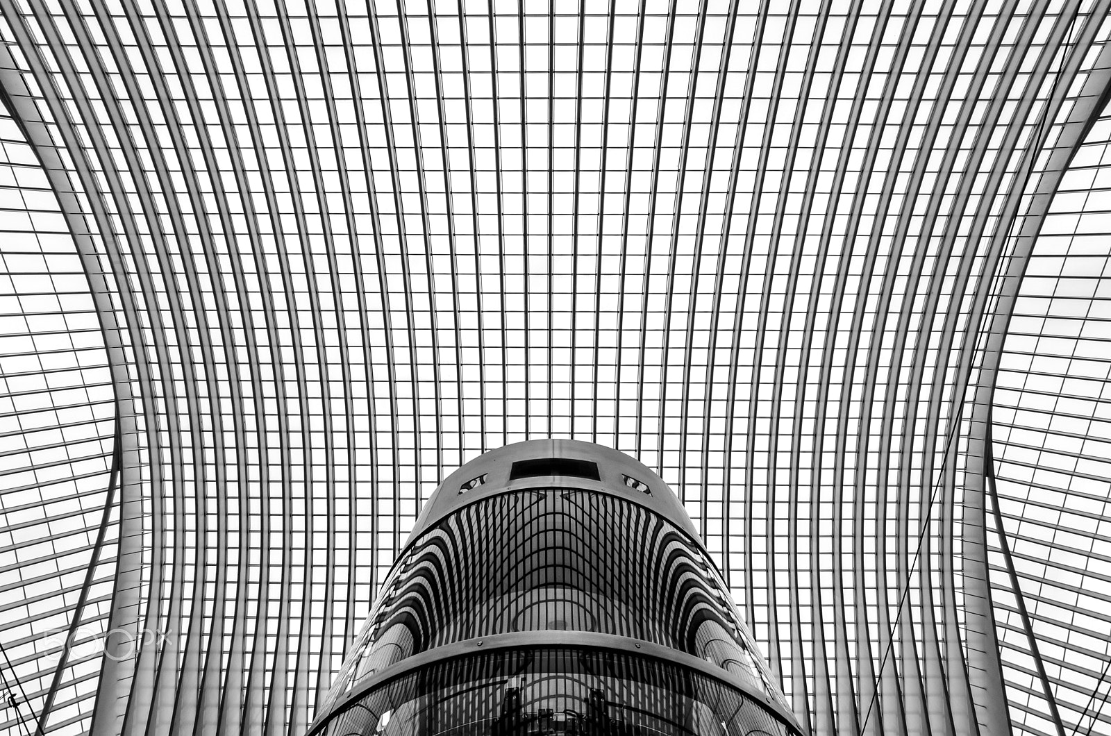 Sigma 8-16mm F4.5-5.6 DC HSM sample photo. The elevator photography