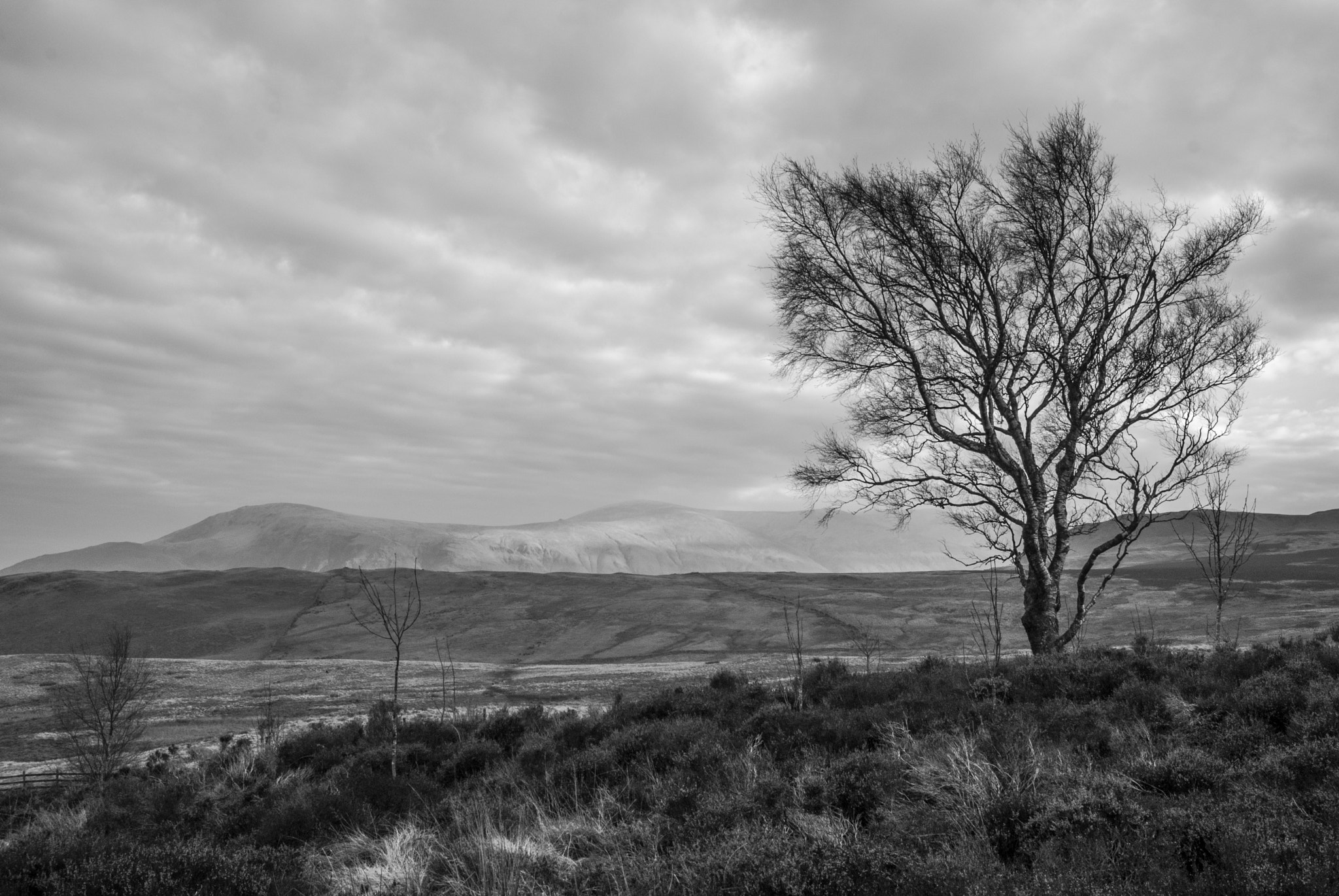 Sony Alpha DSLR-A230 sample photo. Lake district photography