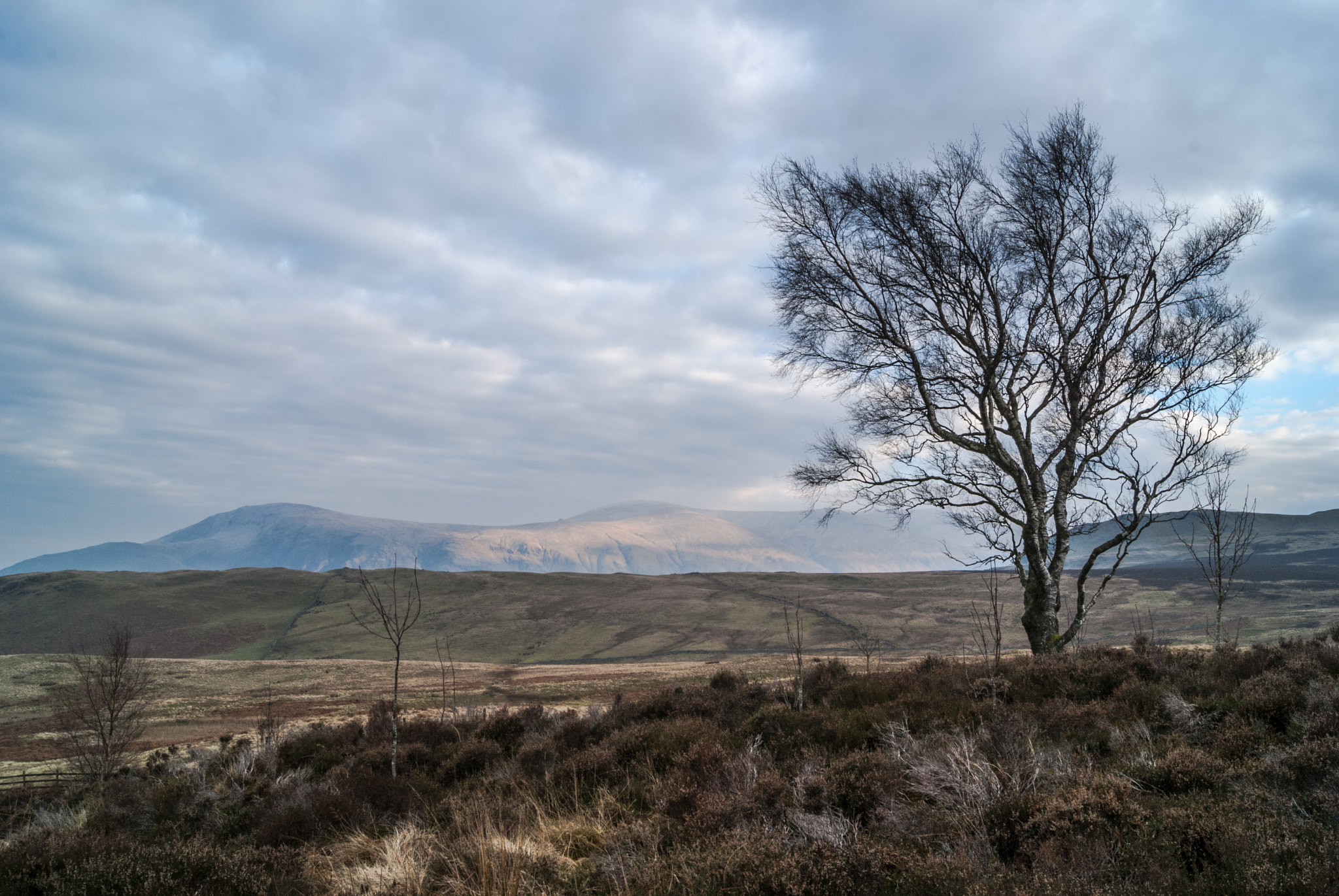 Sony Alpha DSLR-A230 + Sony DT 18-55mm F3.5-5.6 SAM sample photo. Lake district photography