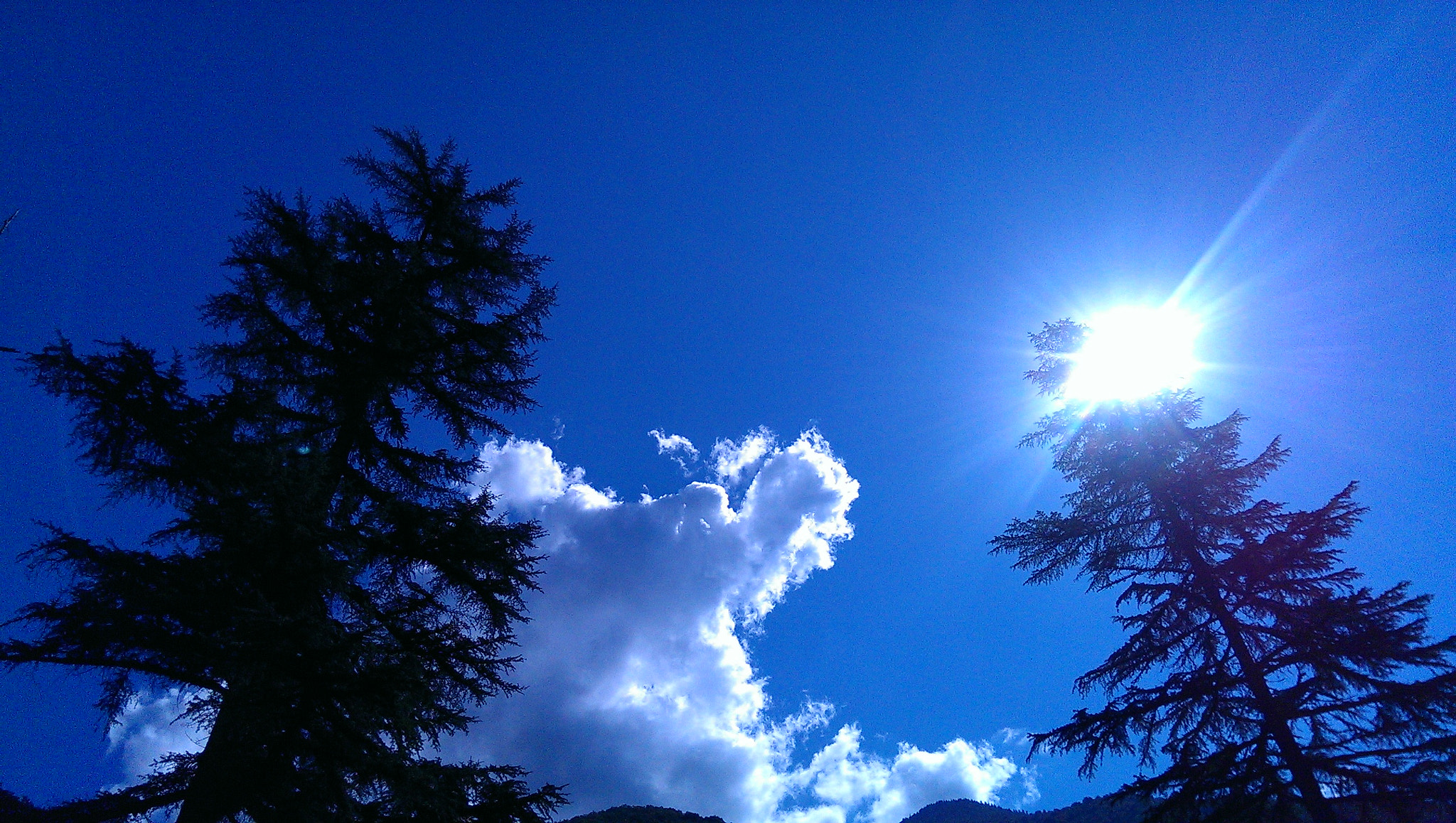 HTC ONE DUAL SIM sample photo. Amra photography