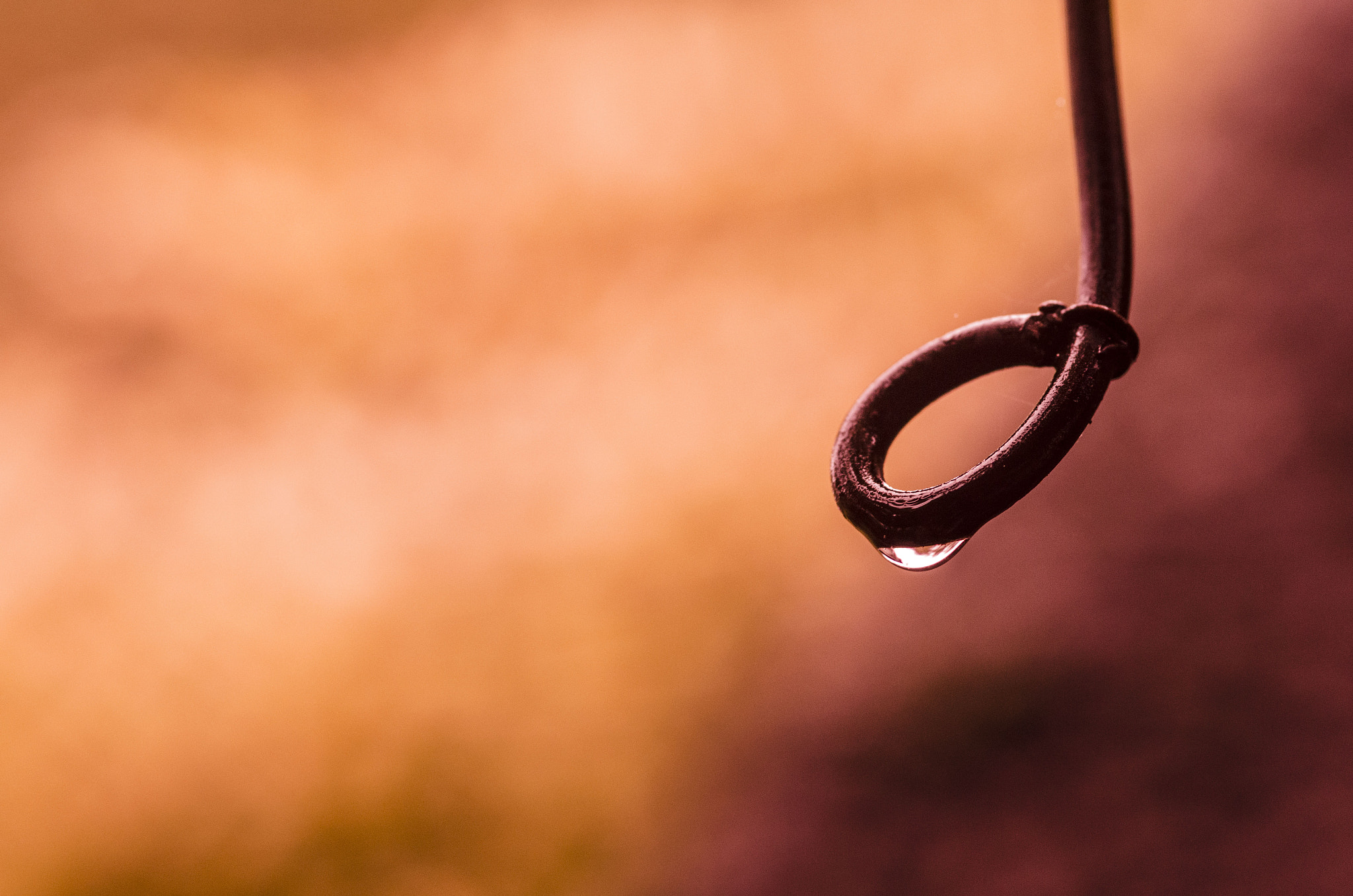 Nikon D7000 + Sigma 105mm F2.8 EX DG Macro sample photo. "goccia di mondo nel mondo" photography
