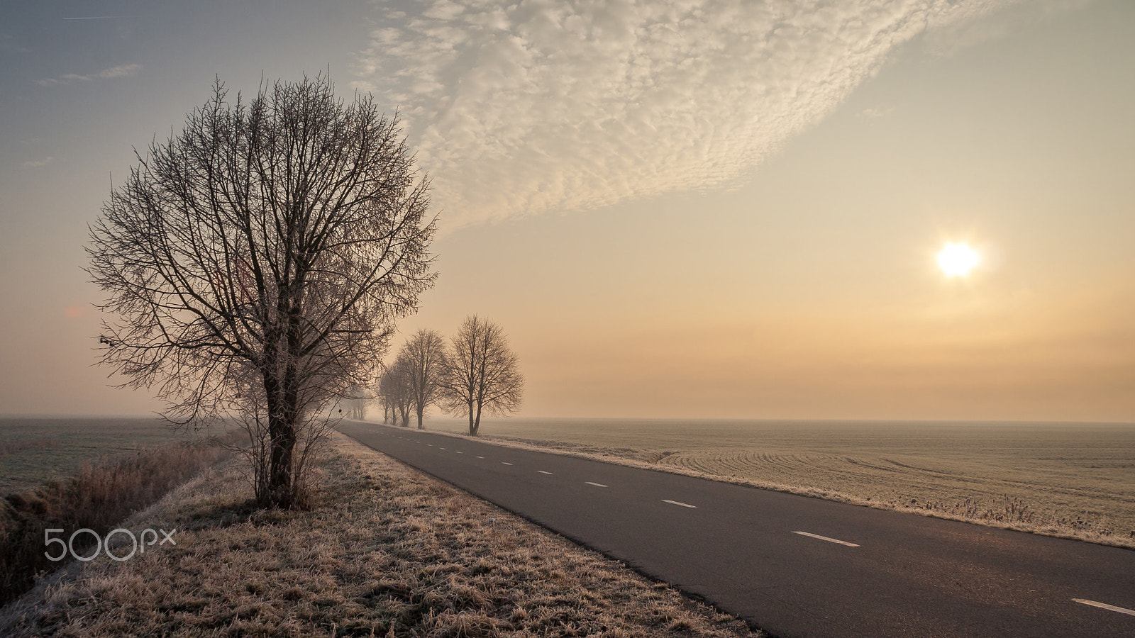 Canon EOS 40D sample photo. Foggy morning photography