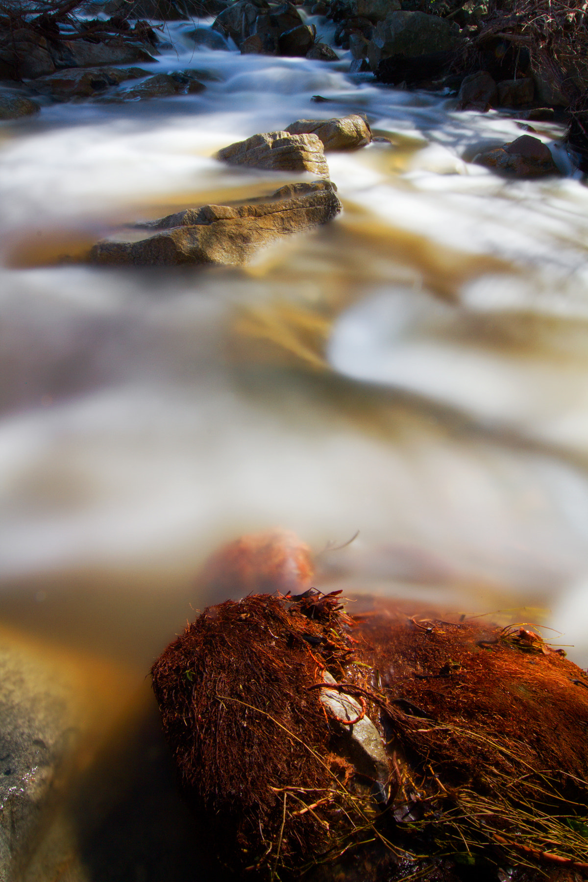 Tokina AT-X Pro 12-24mm F4 (IF) DX sample photo. Morning escondido creek ii photography